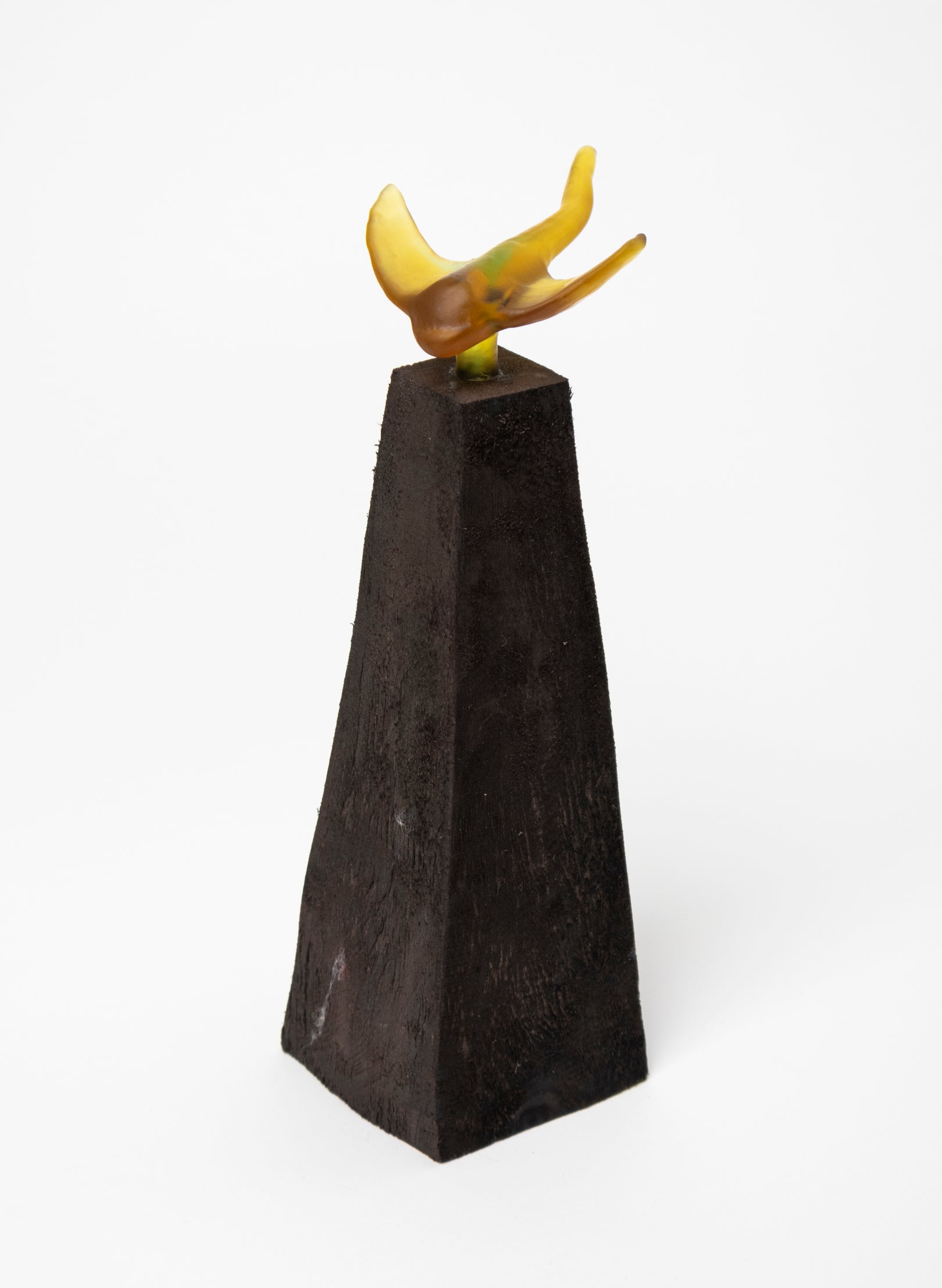 Glass Stingray on Wooden Plinth