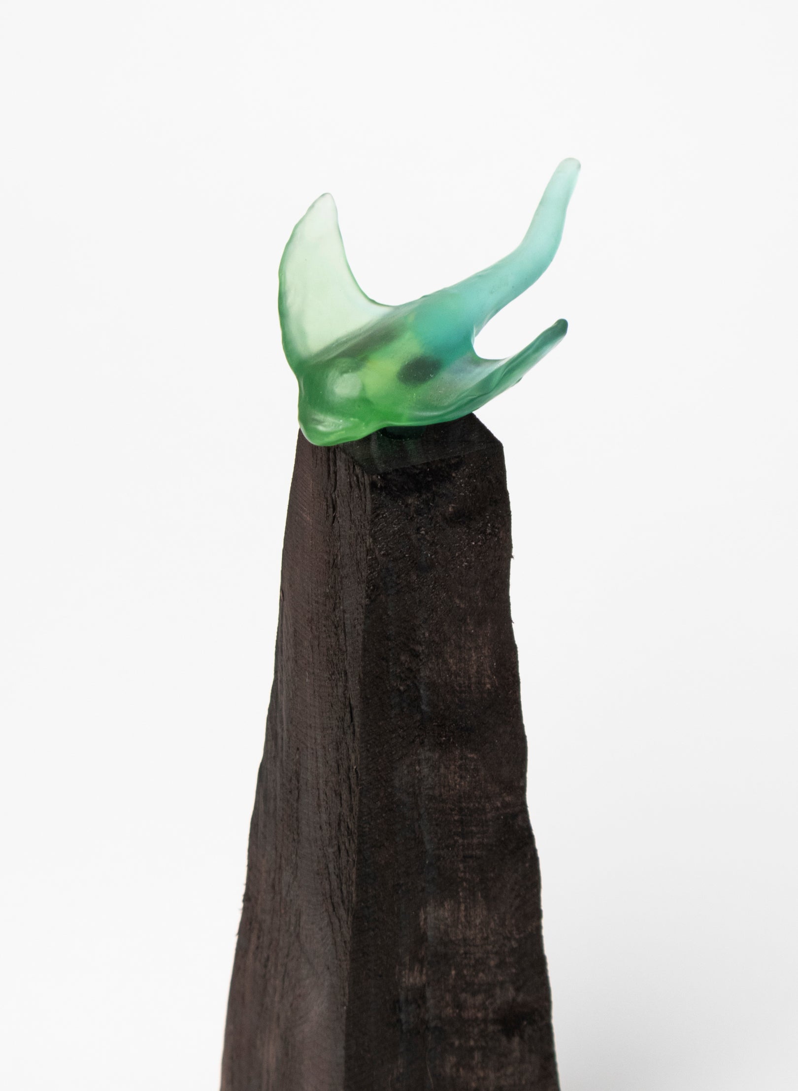 Glass Stingray on Wooden Plinth
