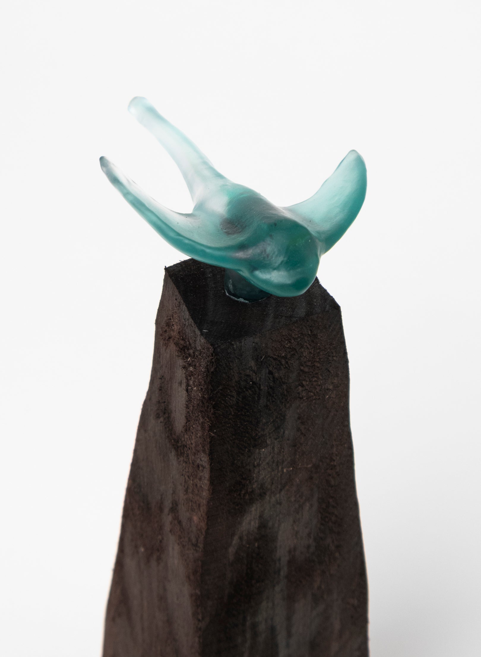 Glass Stingray on Wooden Plinth