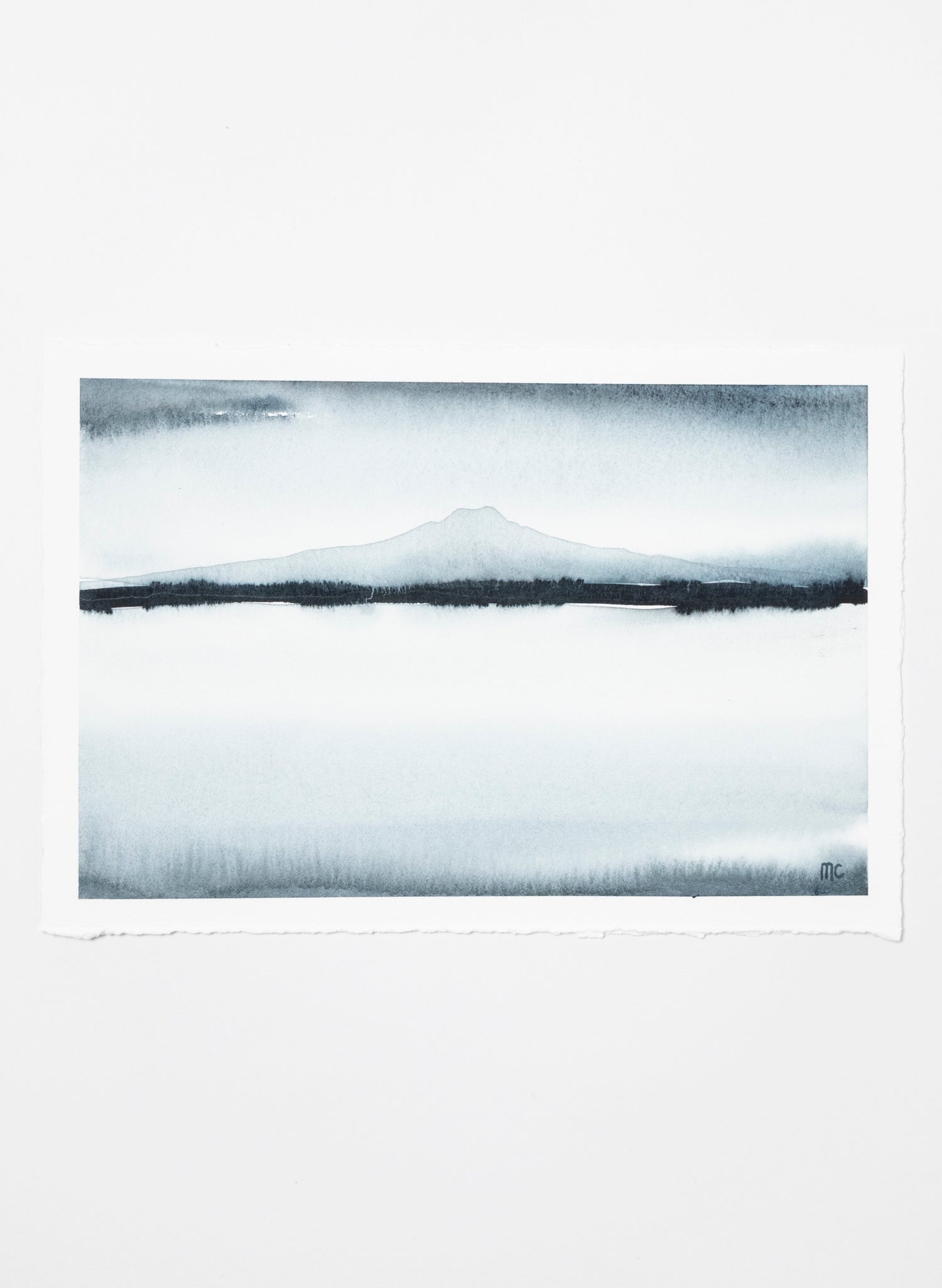 Rangitoto Mist 