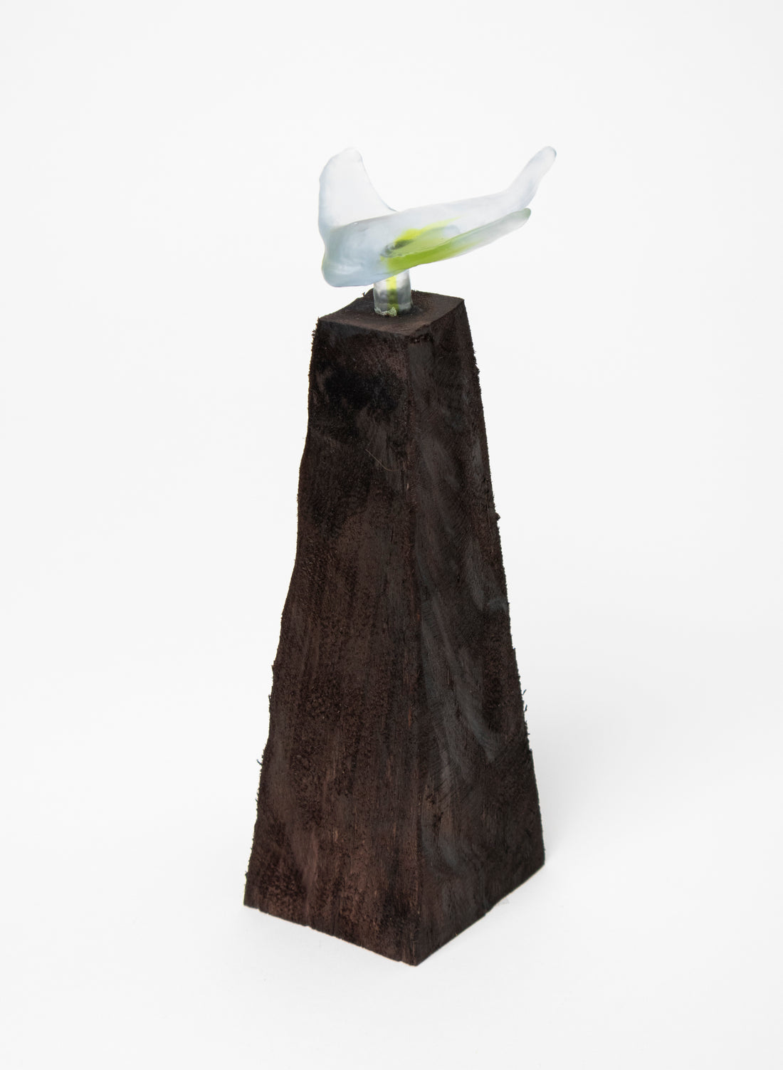 Glass Stingray on Wooden Plinth