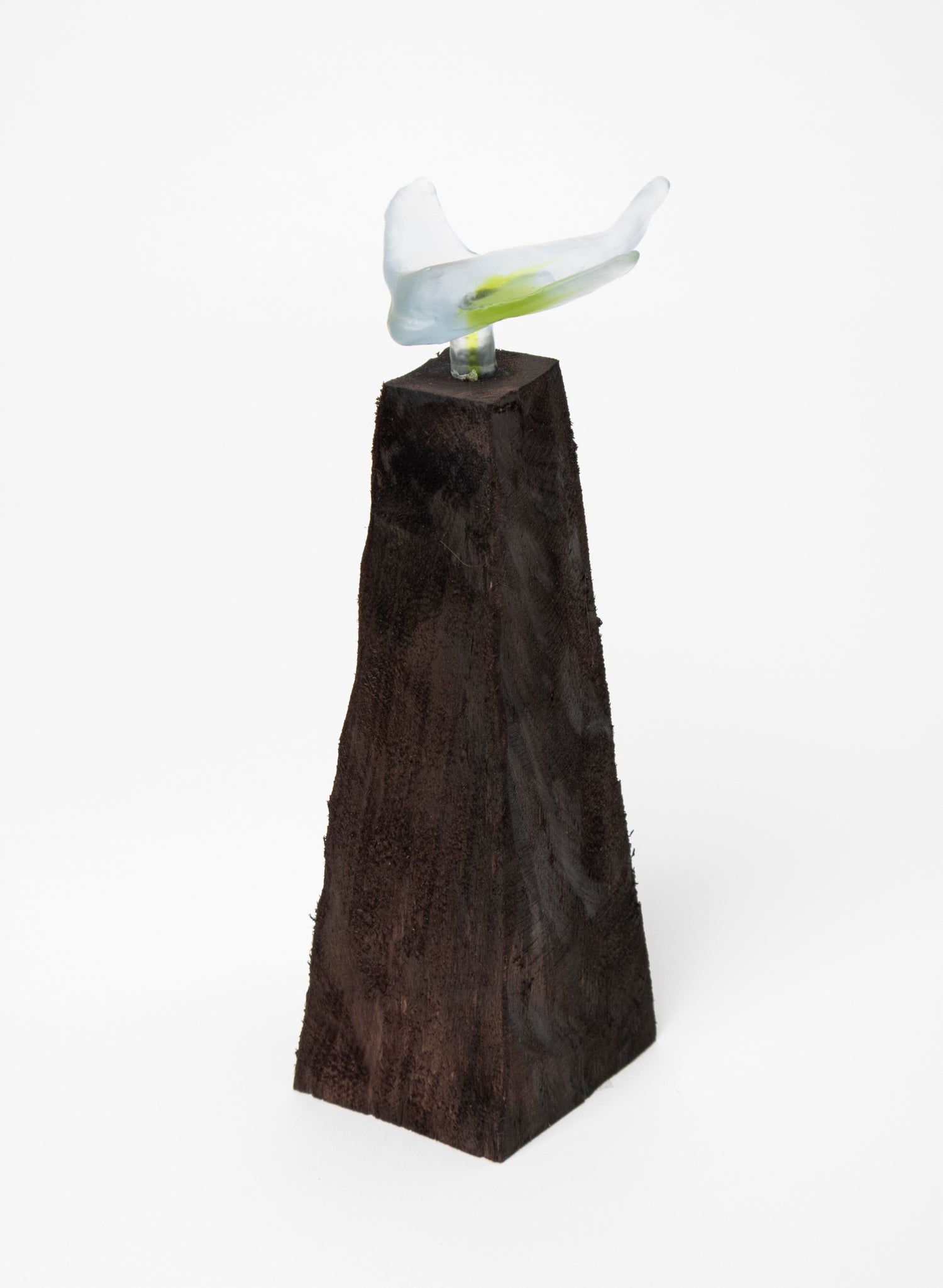 Glass Stingray on Wooden Plinth