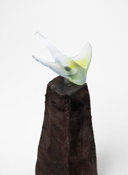 Glass Stingray on Wooden Plinth