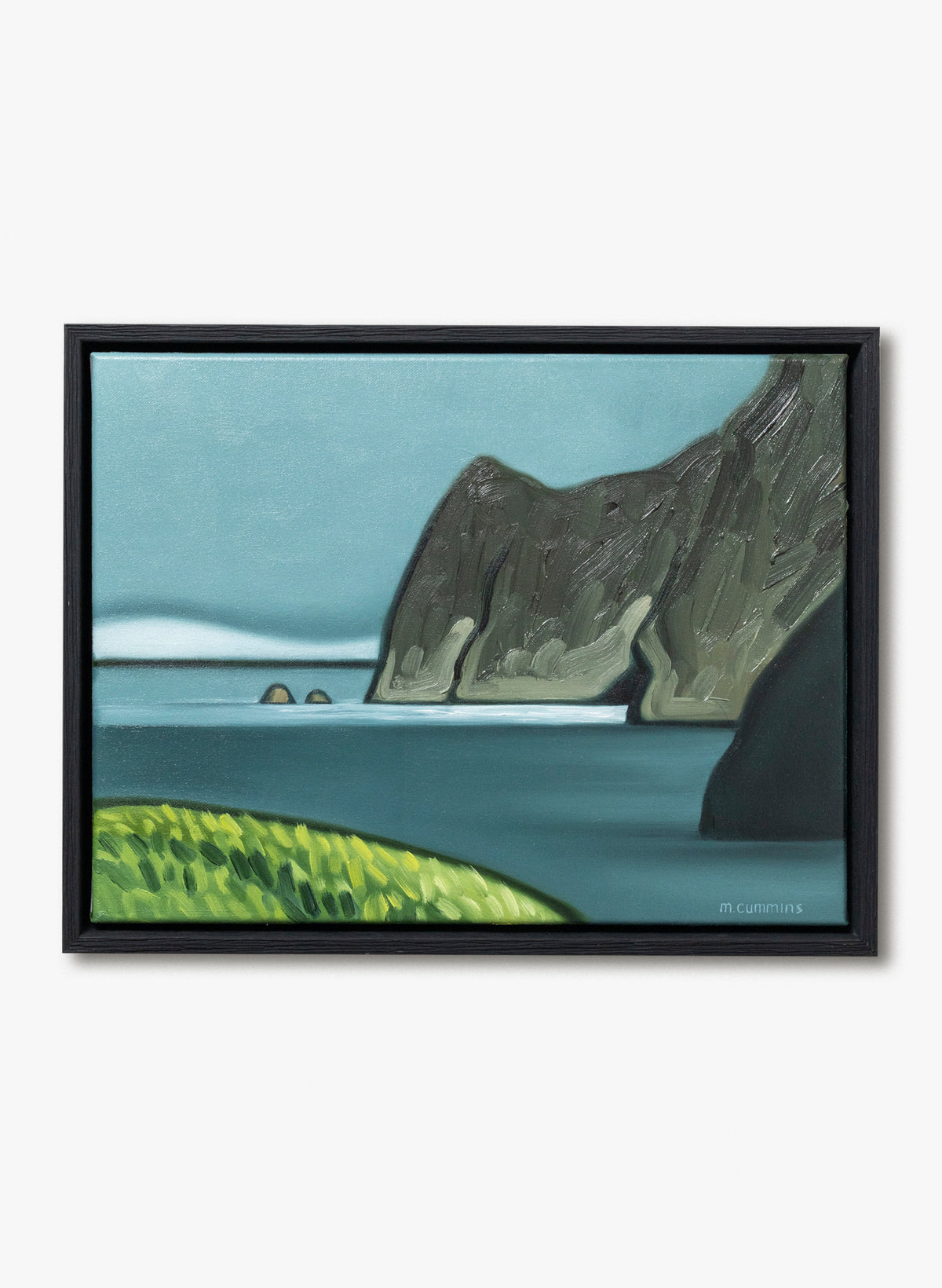 Hahei Cliffs