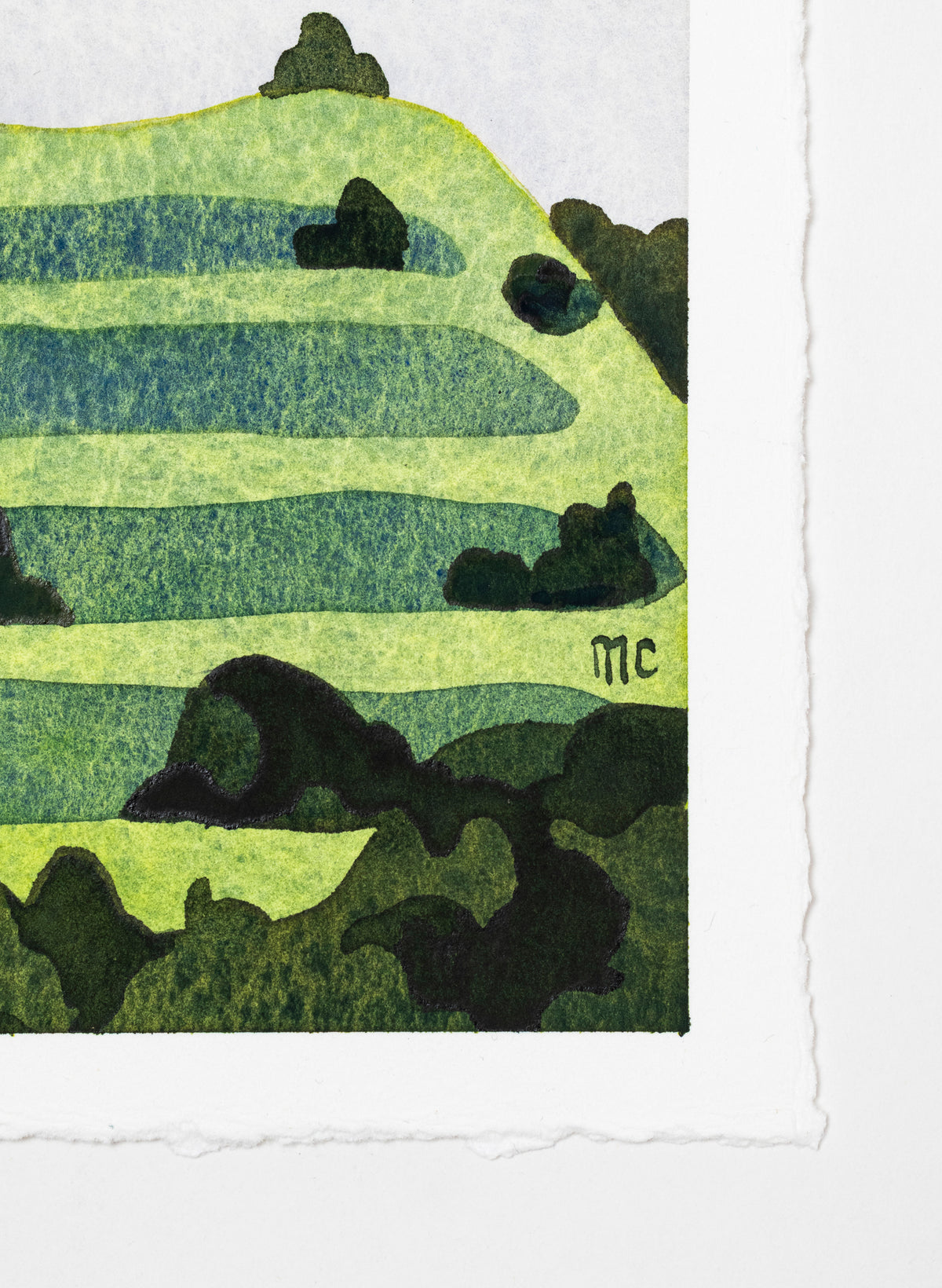 Maungawhau - Mount Eden 10