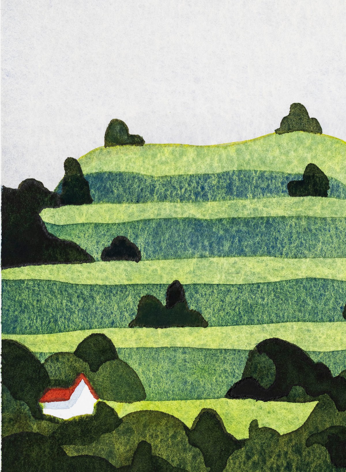 Maungawhau - Mount Eden 10