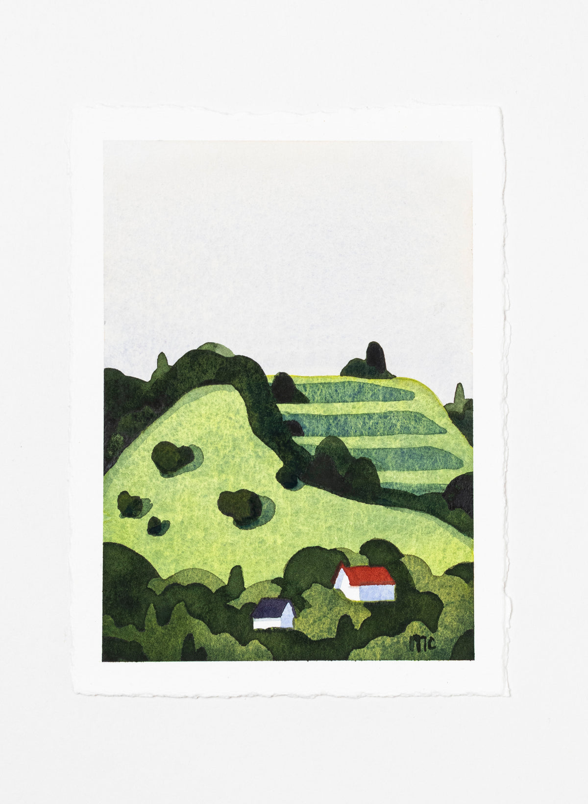 Mount Hobson - Ohinerau