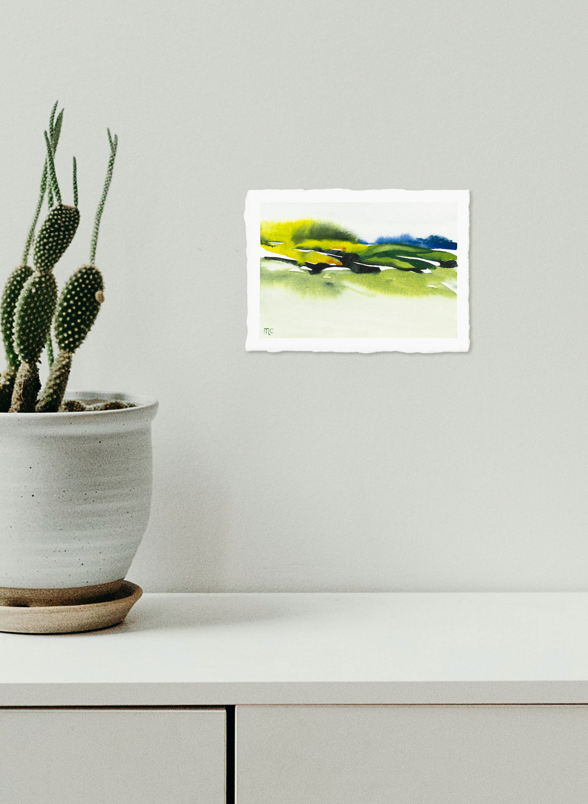 Waikato Summer