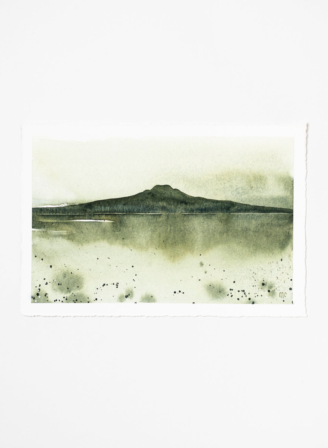 Rangitoto Moss 