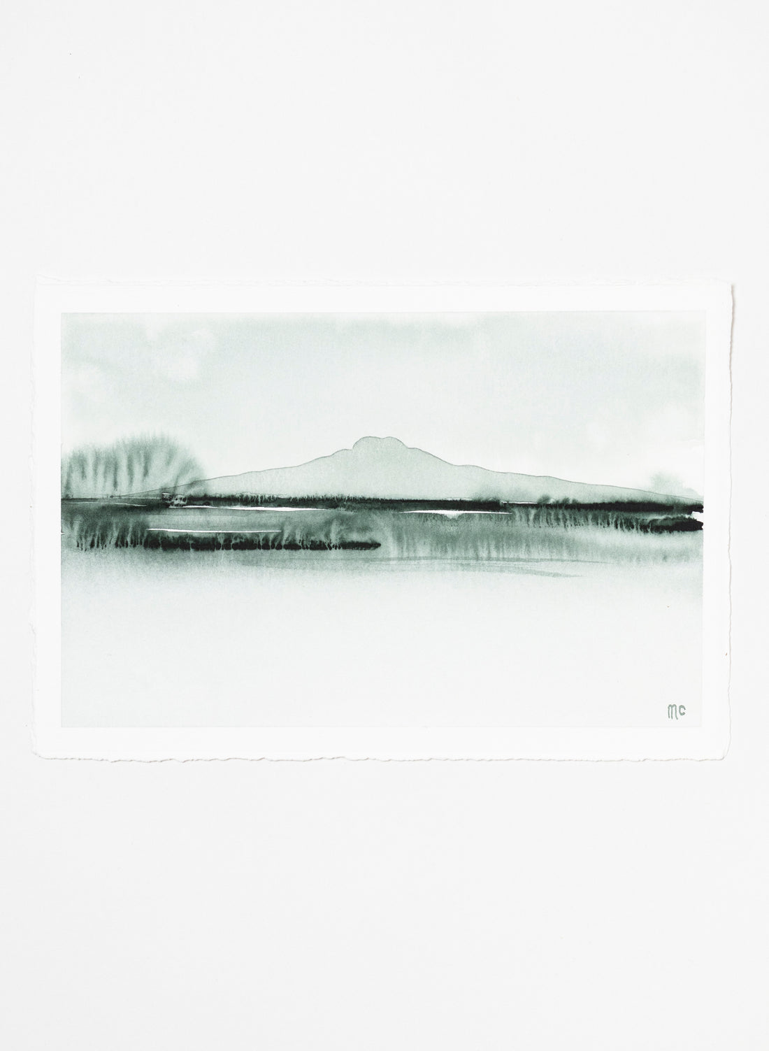 Rangitoto Haze 