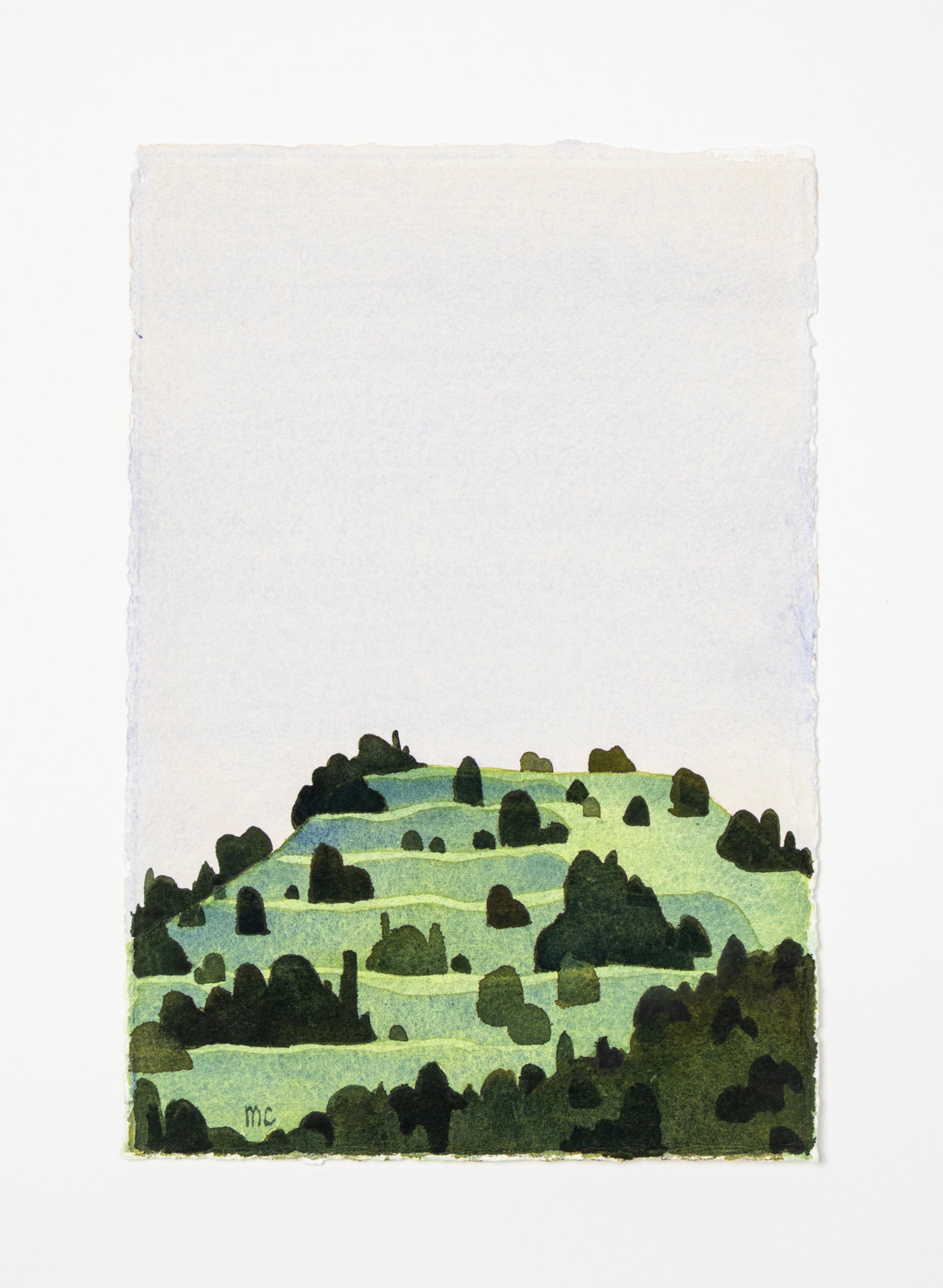 North Head / Maungauika 