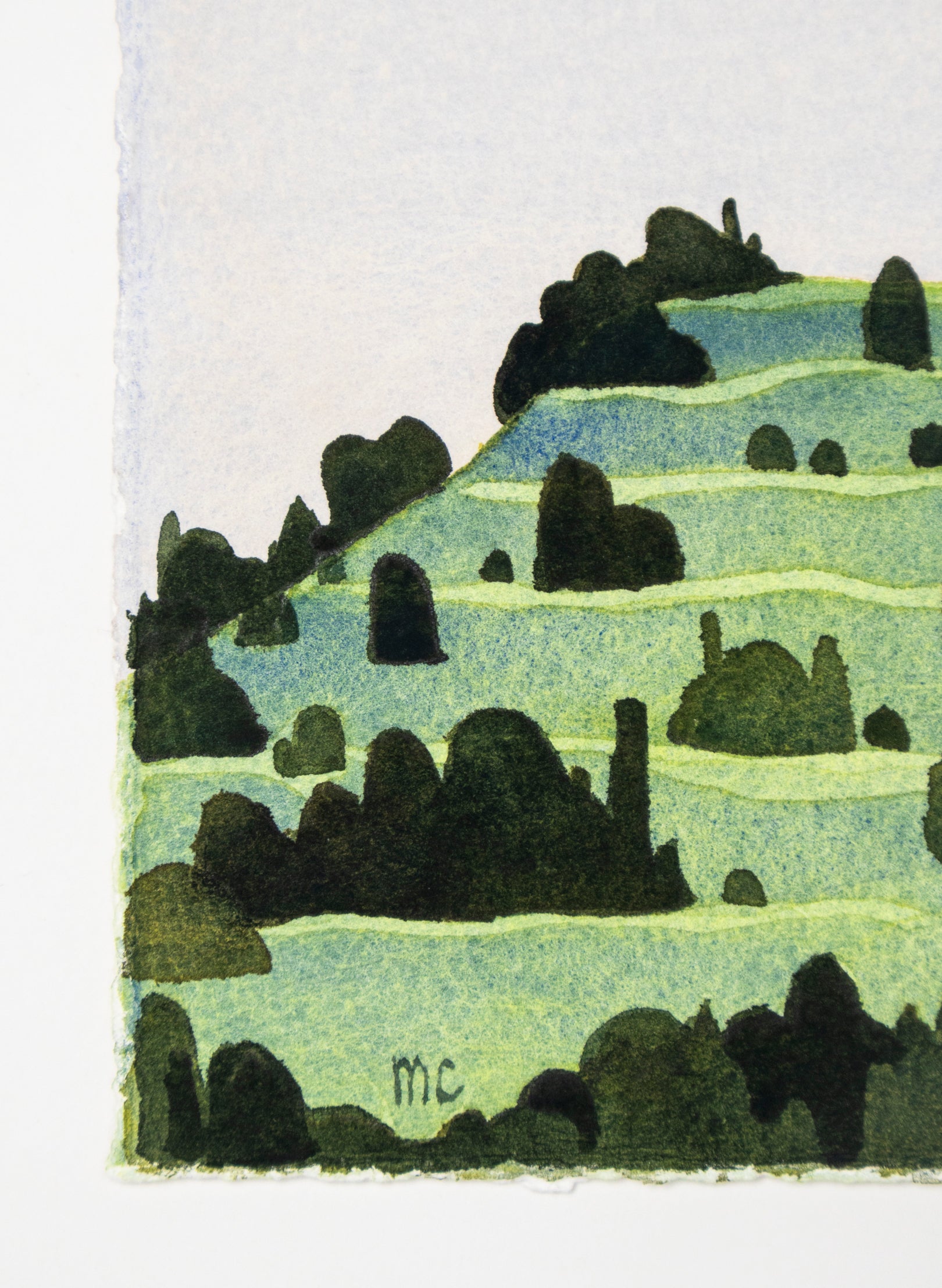 North Head / Maungauika 