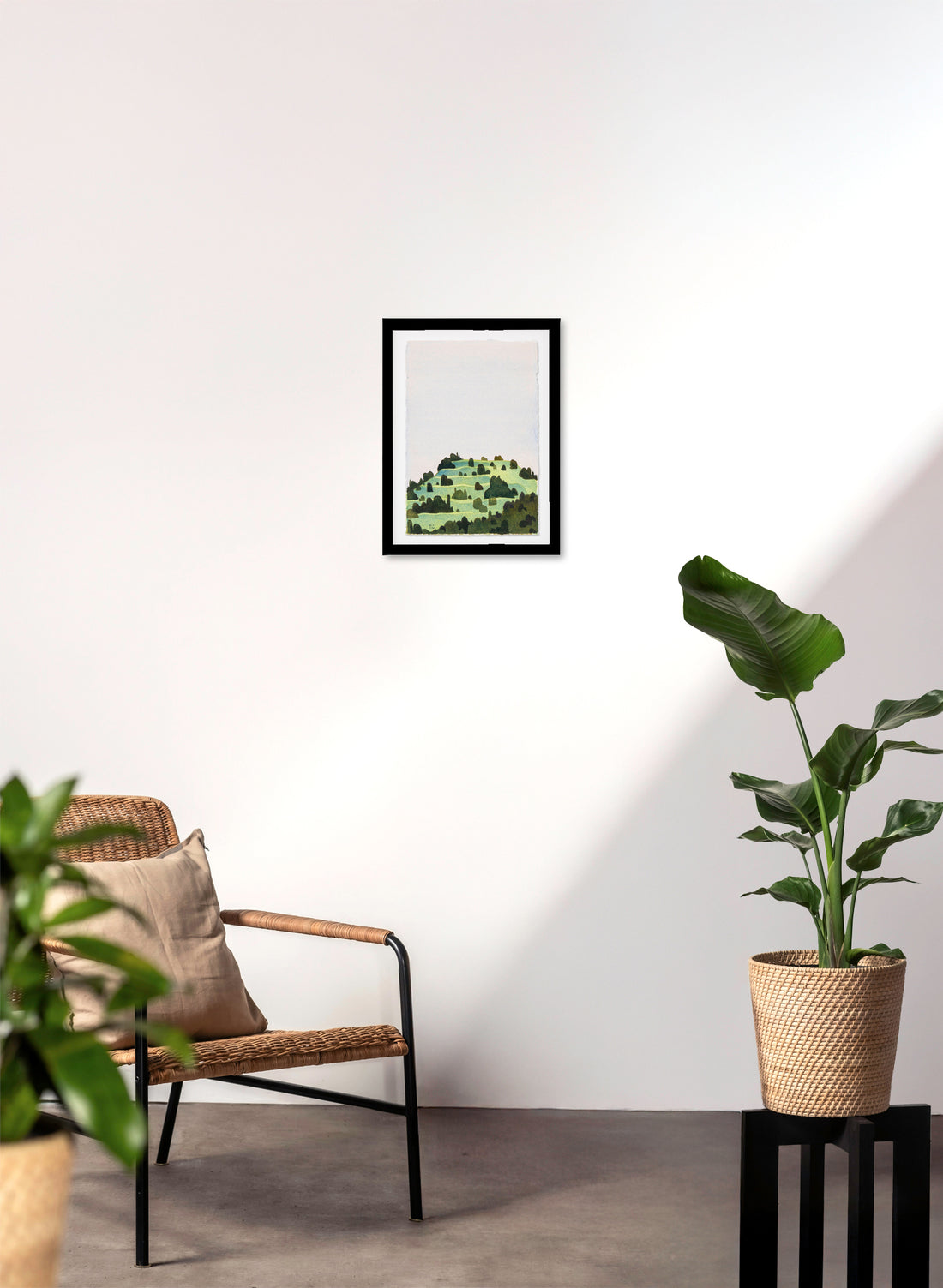 North Head / Maungauika 