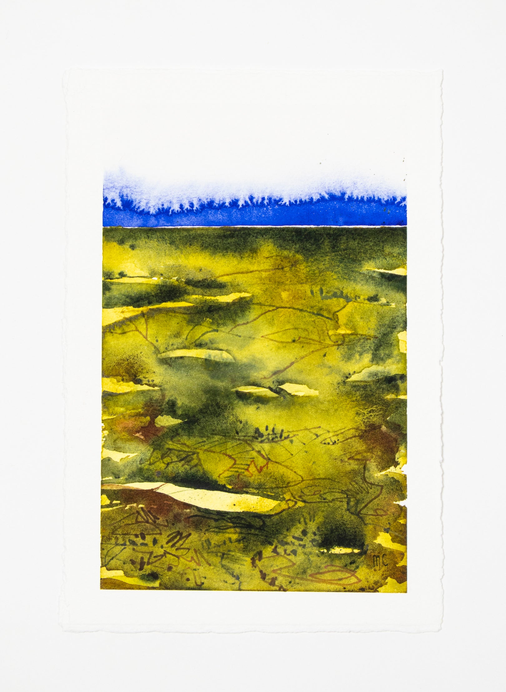 View From The Kaimai&