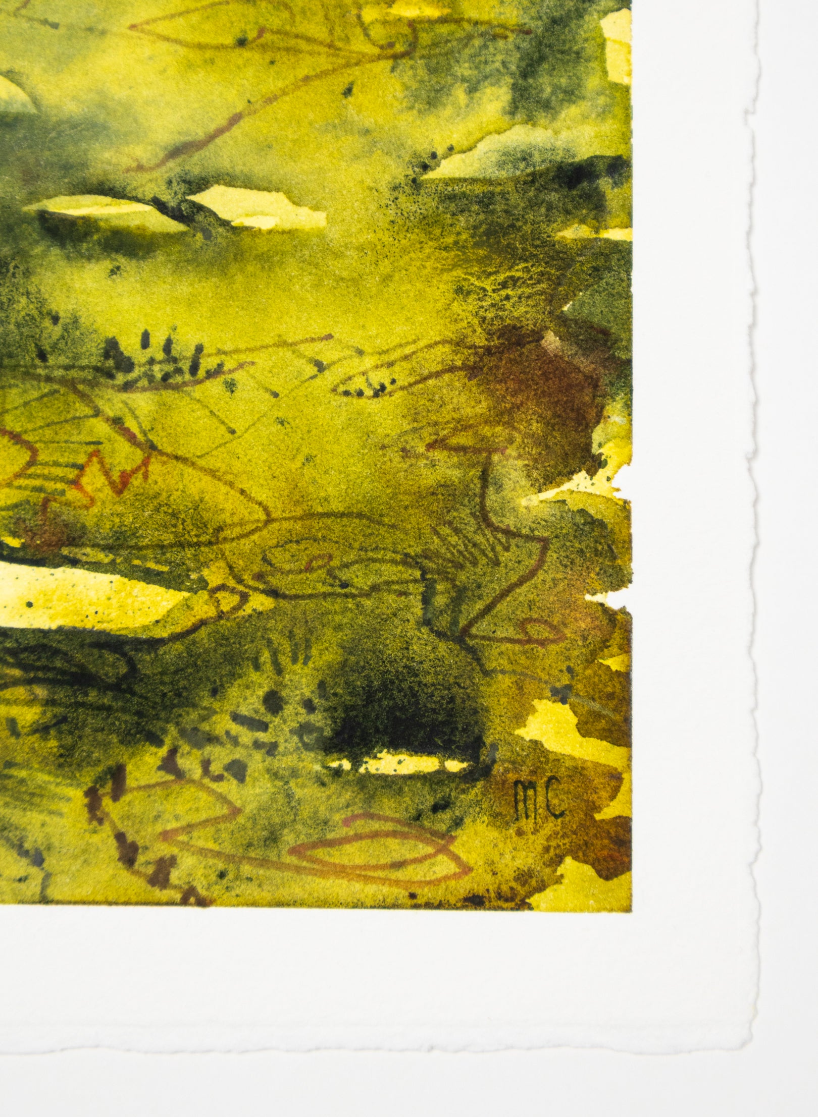 View From The Kaimai&