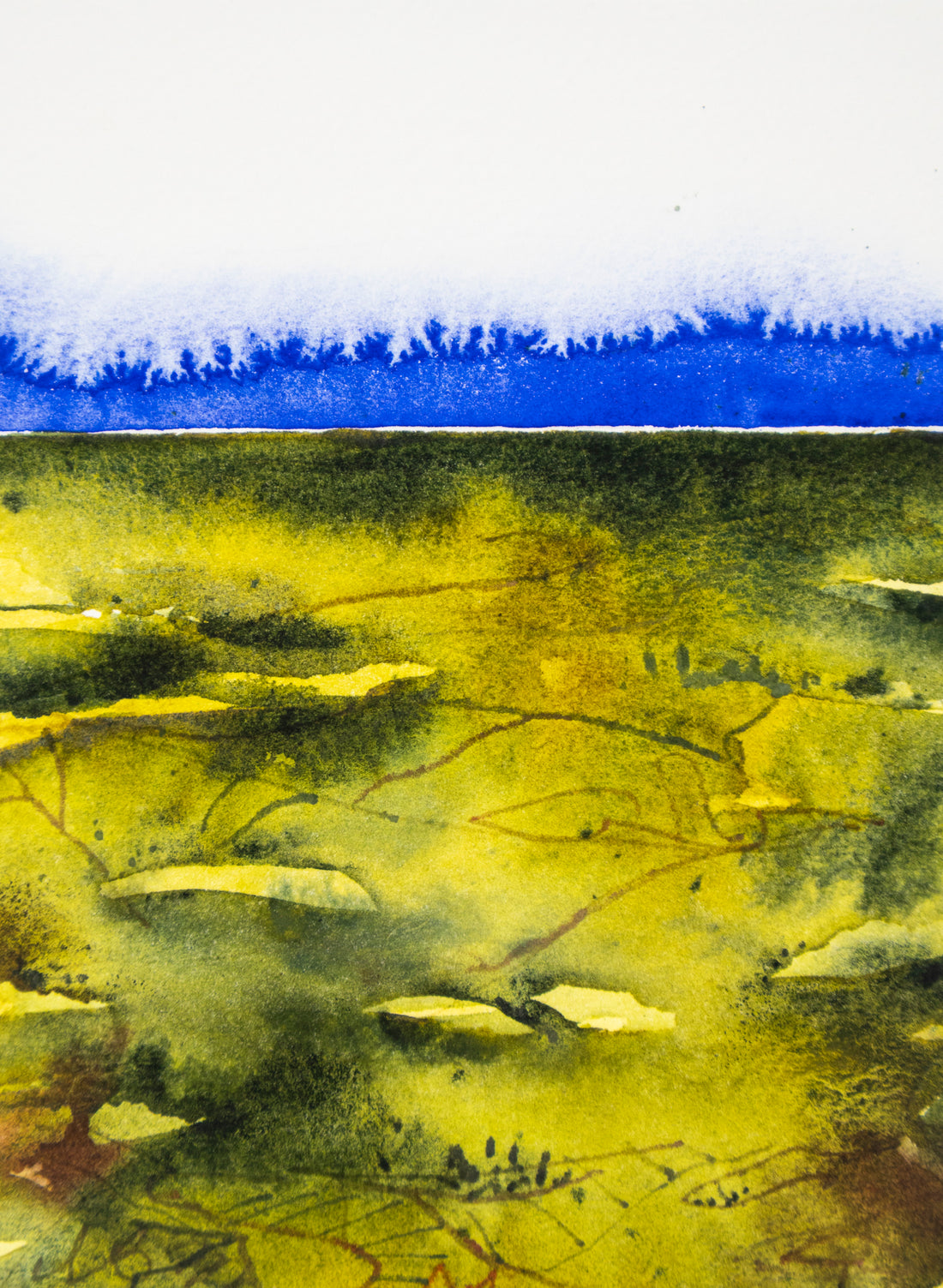 View From The Kaimai&