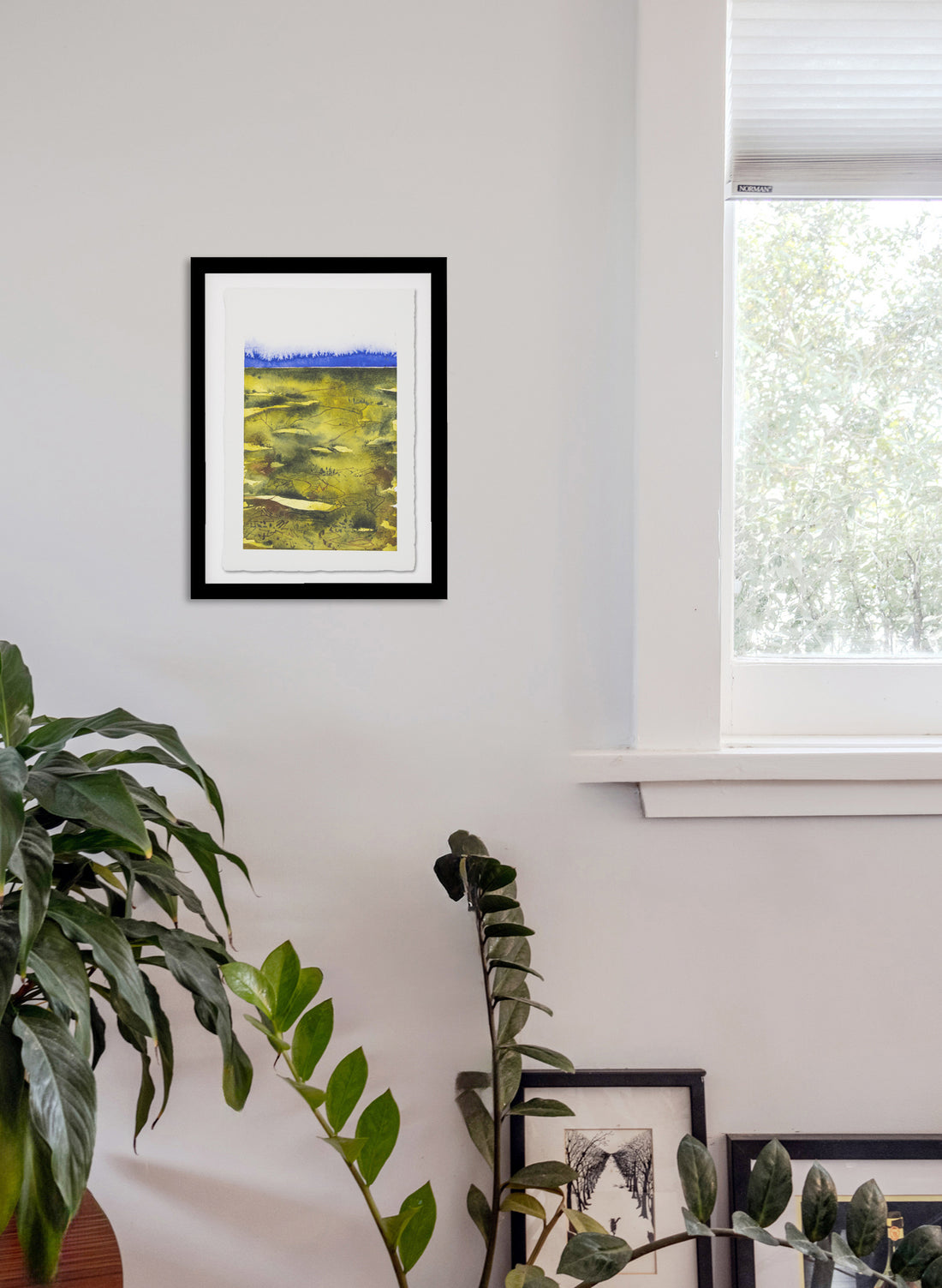 View From The Kaimai&