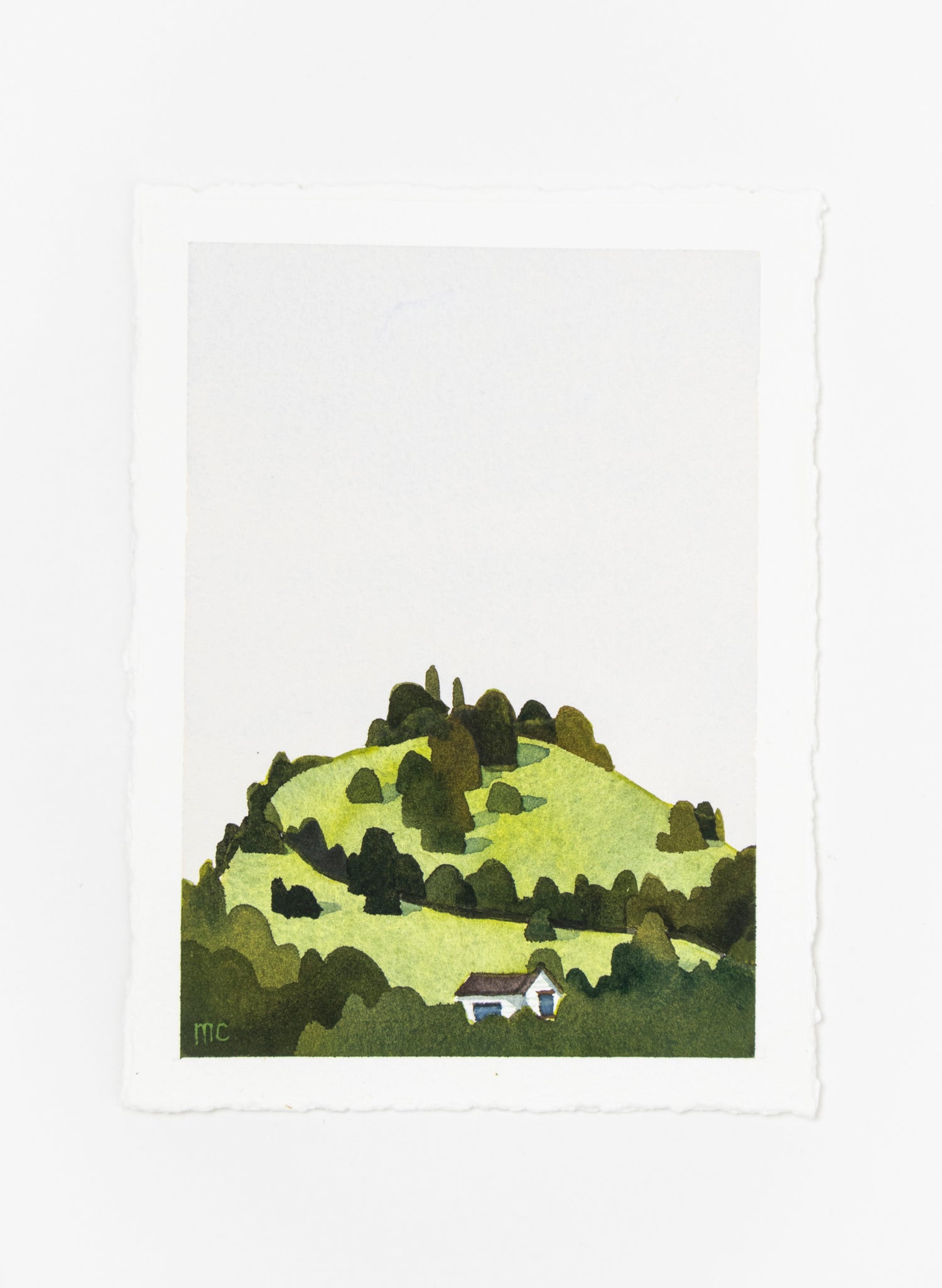 Mt Albert Ōwairaka III