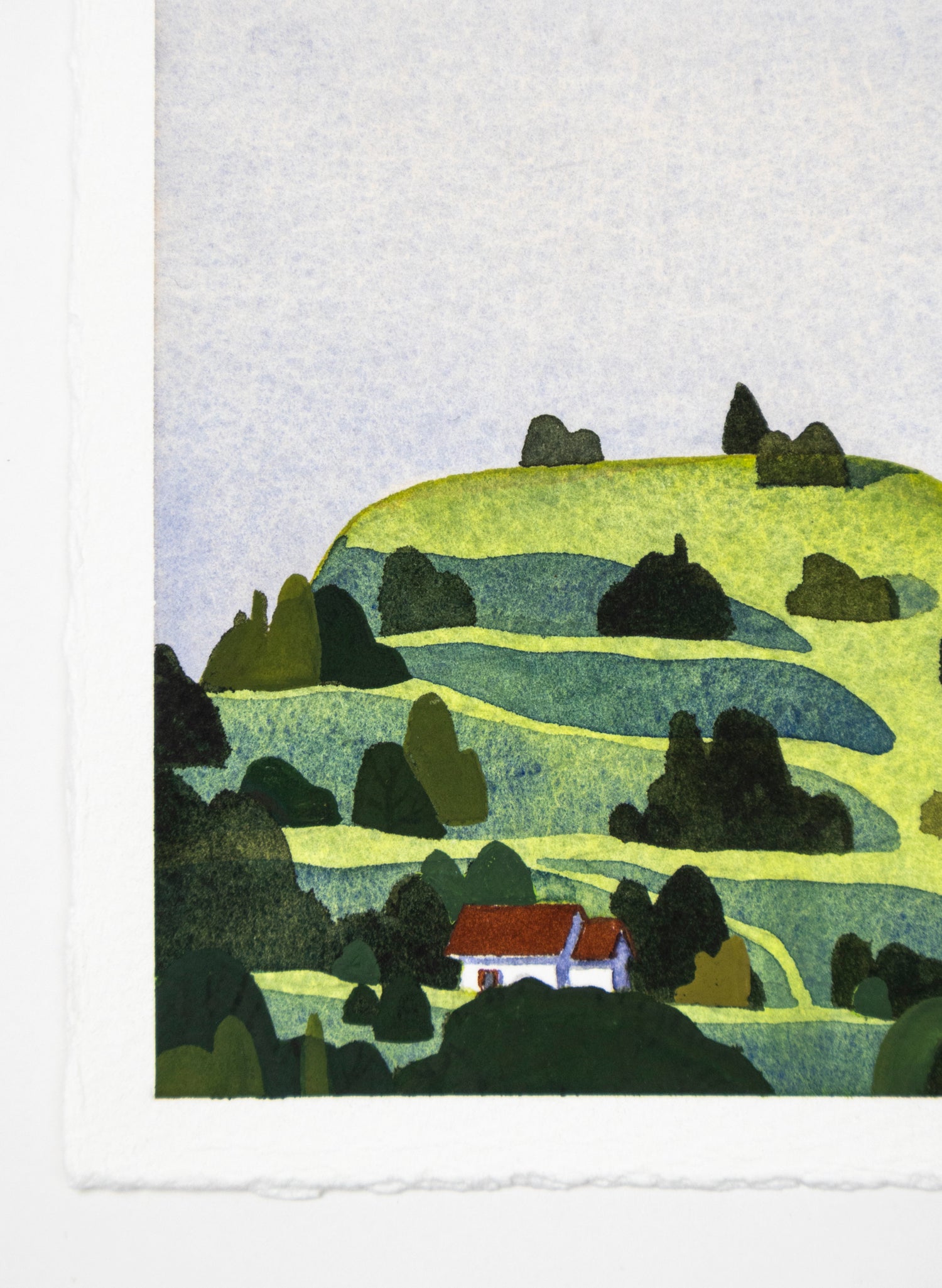 Mt Eden Maungawhau VI