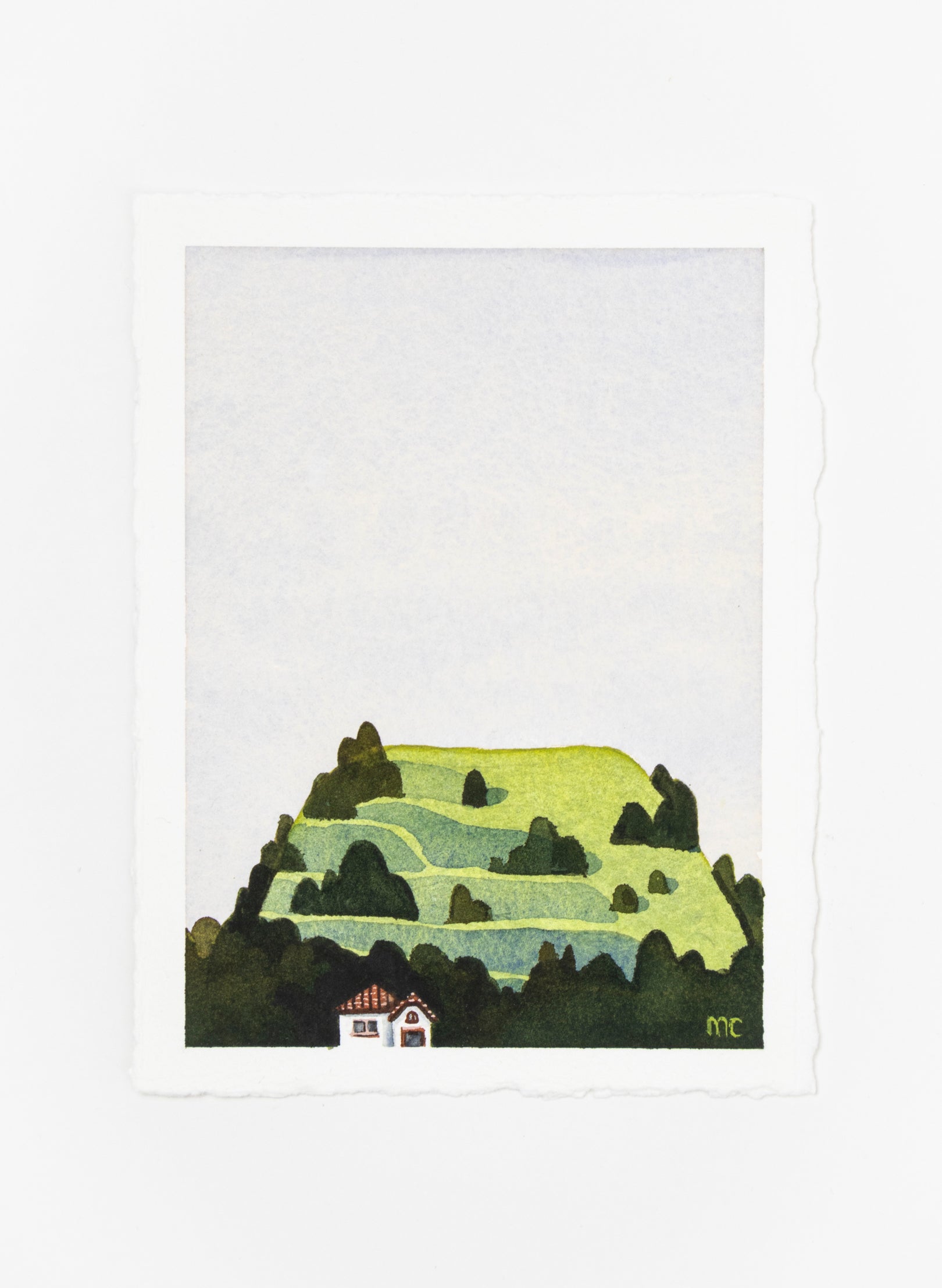 Mt Eden Maungawhau V