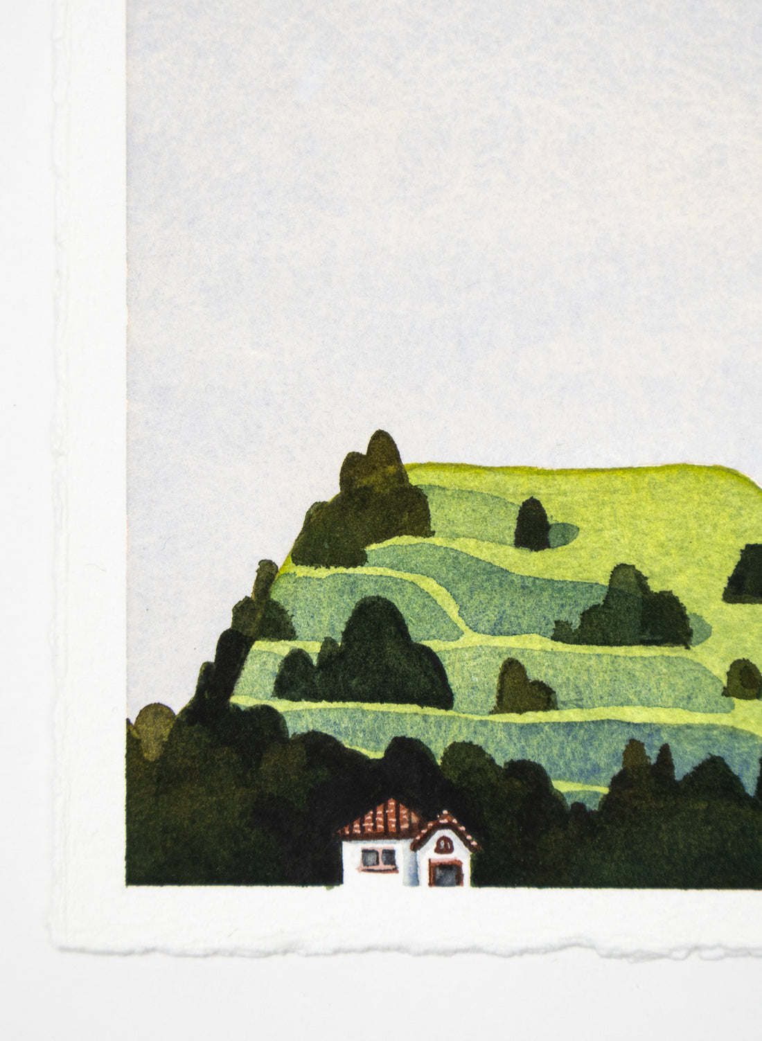 Mt Eden Maungawhau V