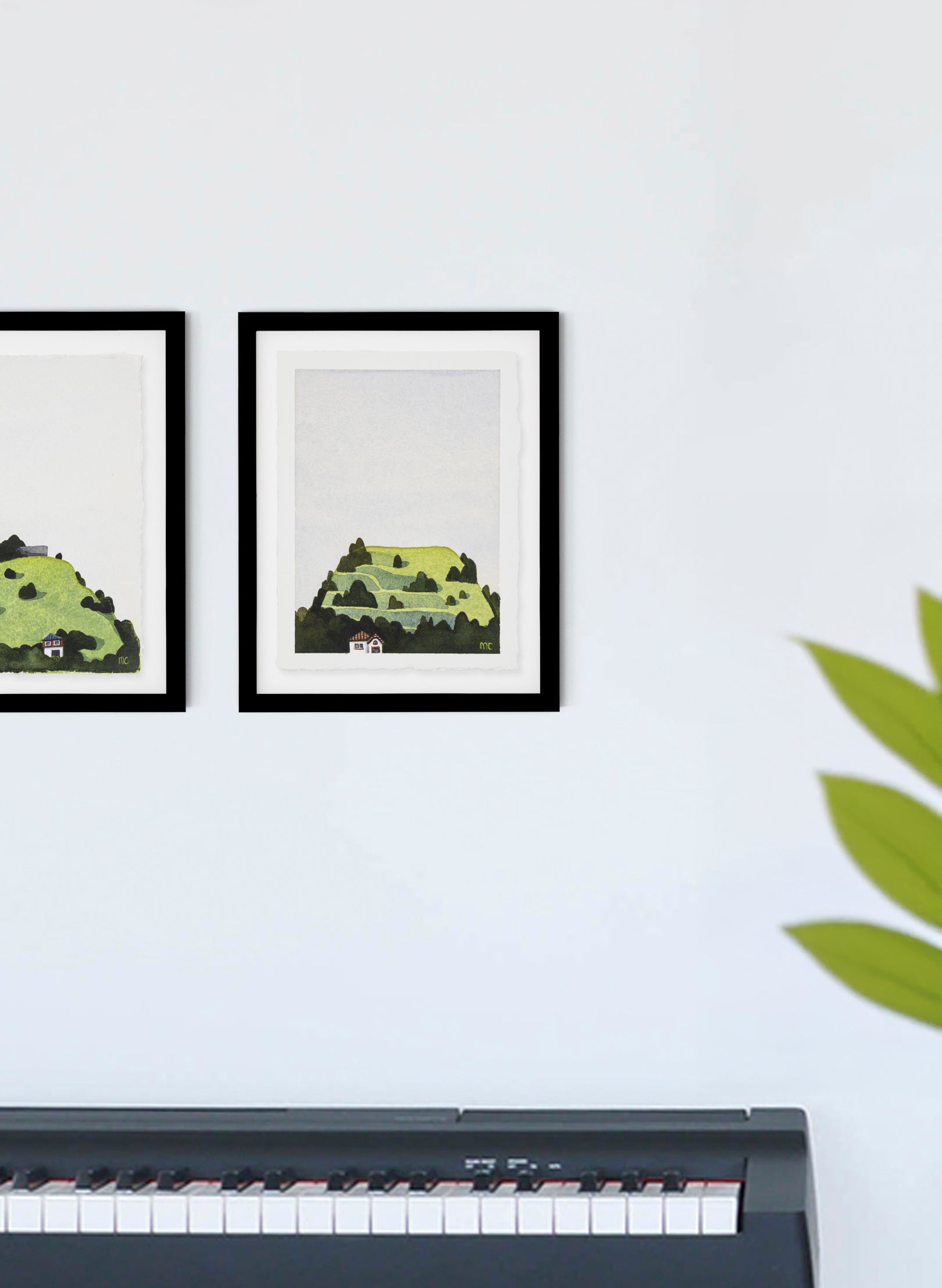 Mt Eden Maungawhau V