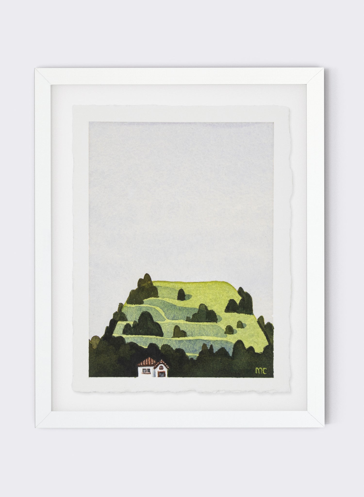 Mt Eden Maungawhau V