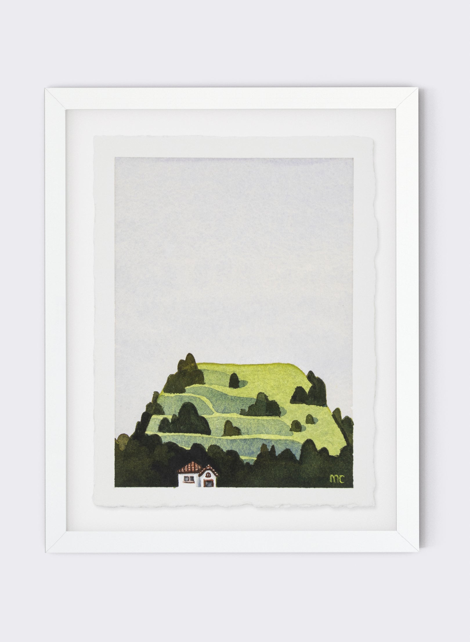 Mt Eden Maungawhau V