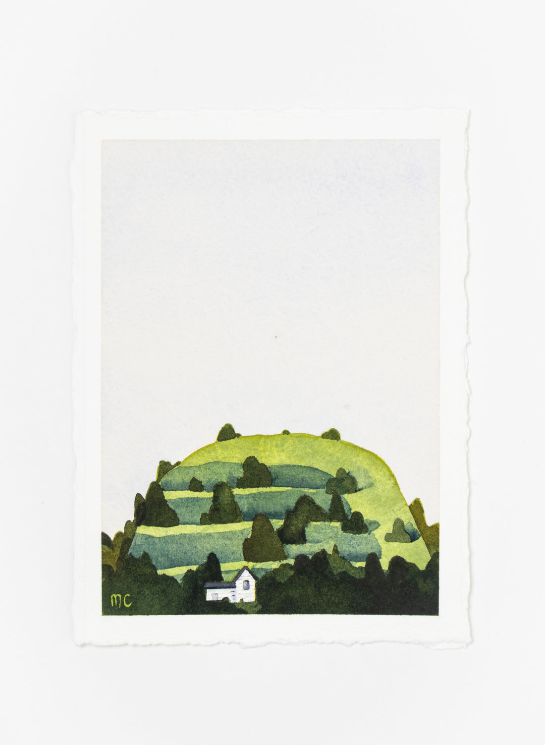 Mt Eden Maungawhau VI