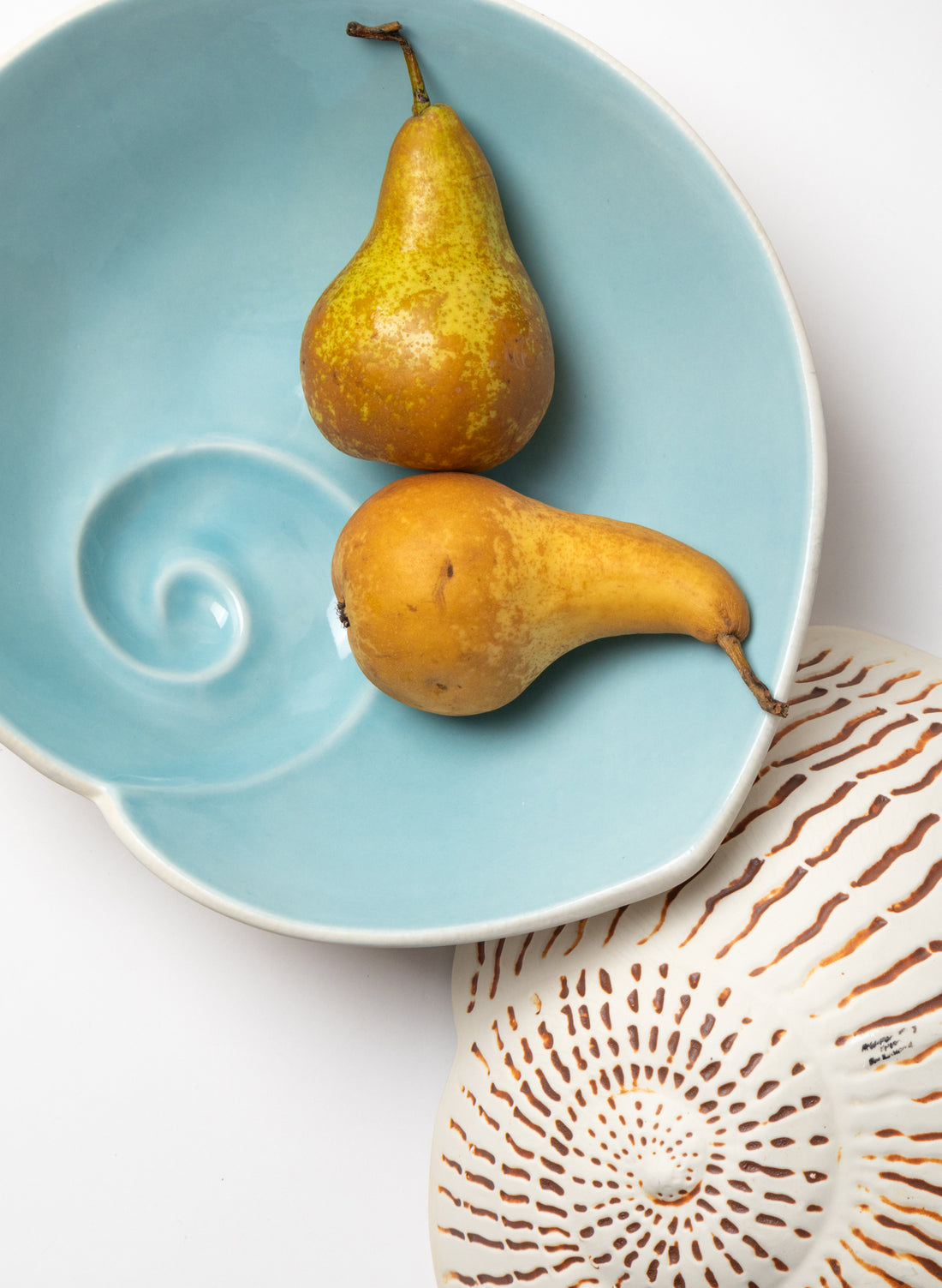 Large Nautilus Shell Bowl - Aqua