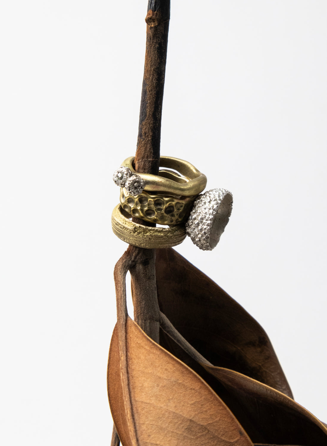 Acorn Botanical Ring