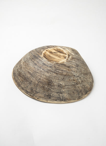 Shell Salad Bowl Blue
