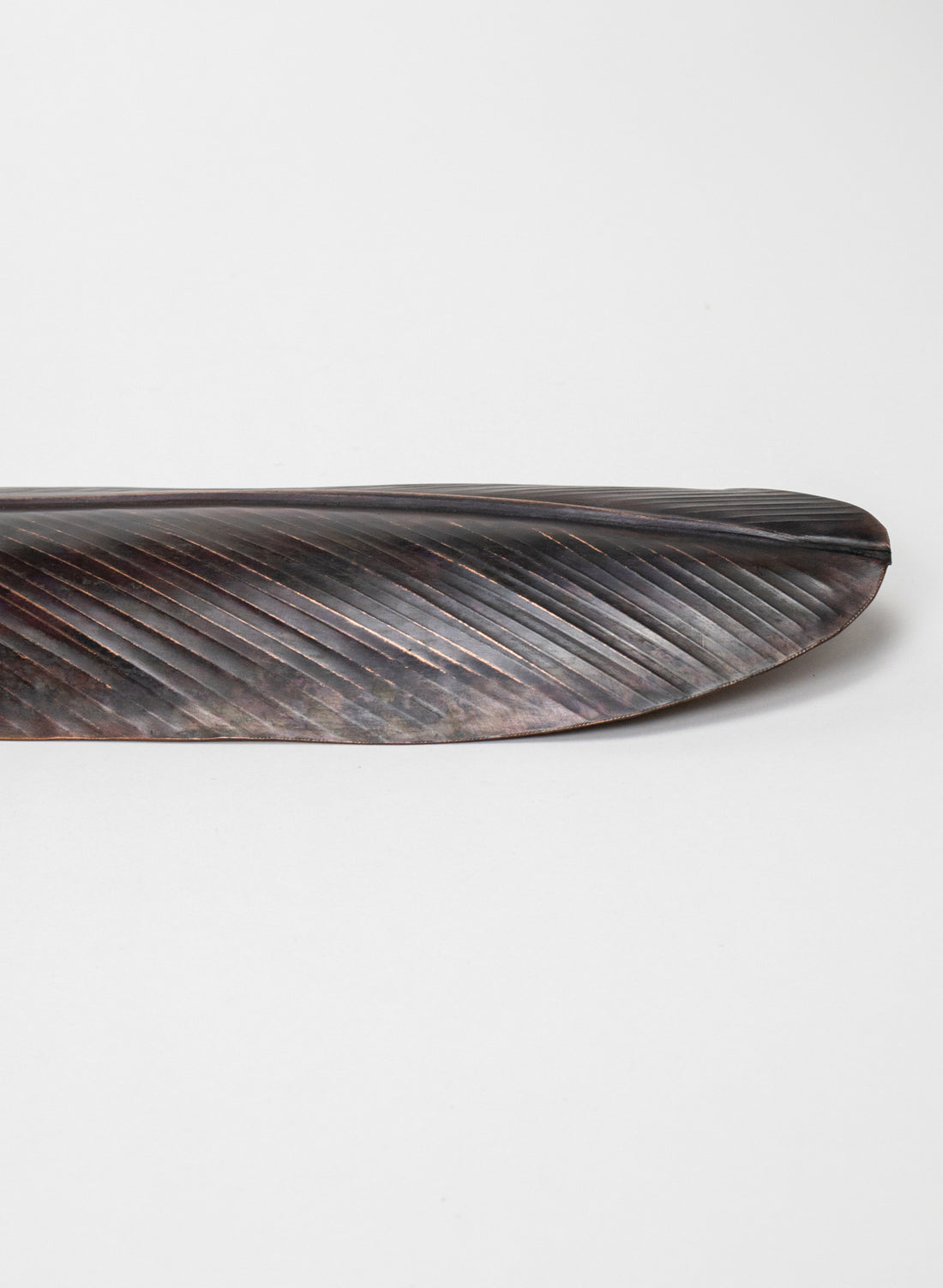 Tui Feather Copper 475mm