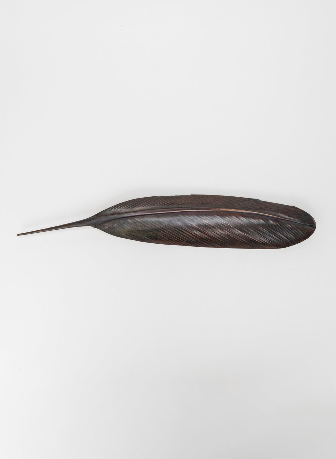 Tui Feather Copper 475mm