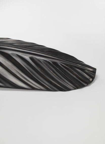 Karearea Feather Swamp Kauri 770mm