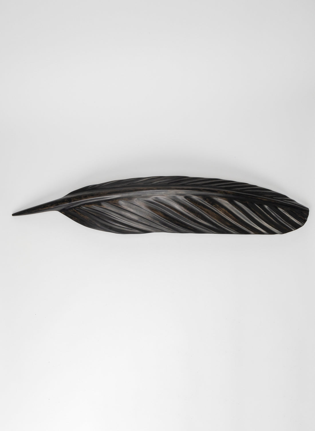 Karearea Feather Swamp Kauri 770mm