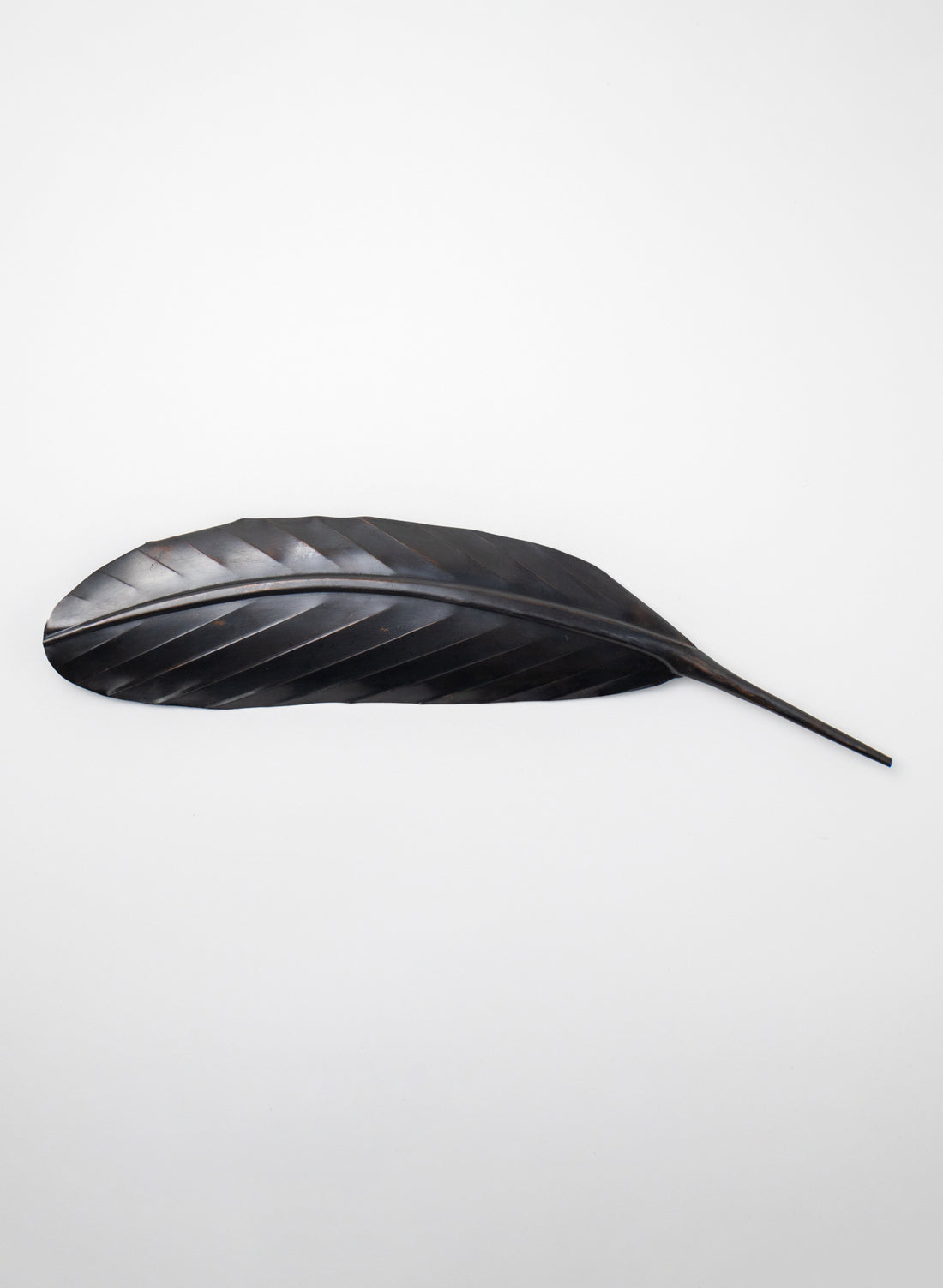 Blackbird Feather Copper 430mm