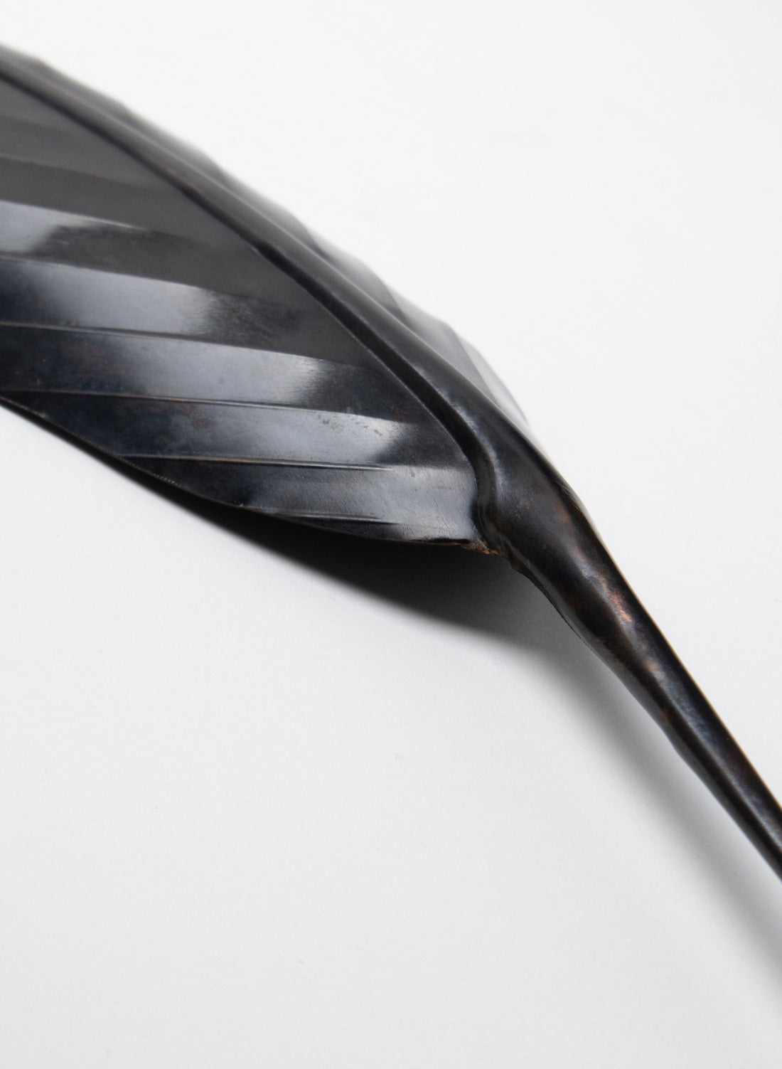 Blackbird Feather Copper 430mm