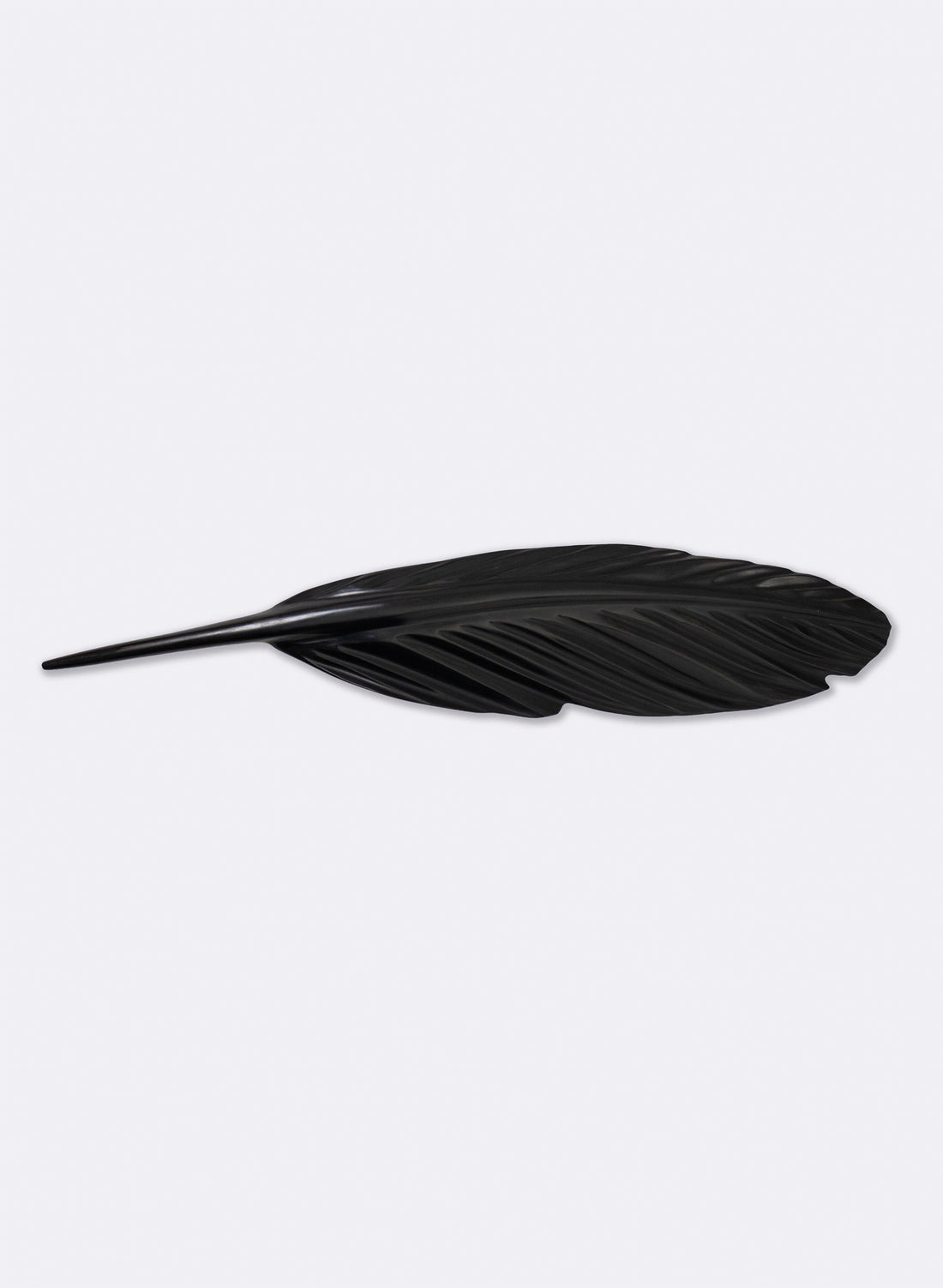 Tūī Feather Swamp Kauri 850mm
