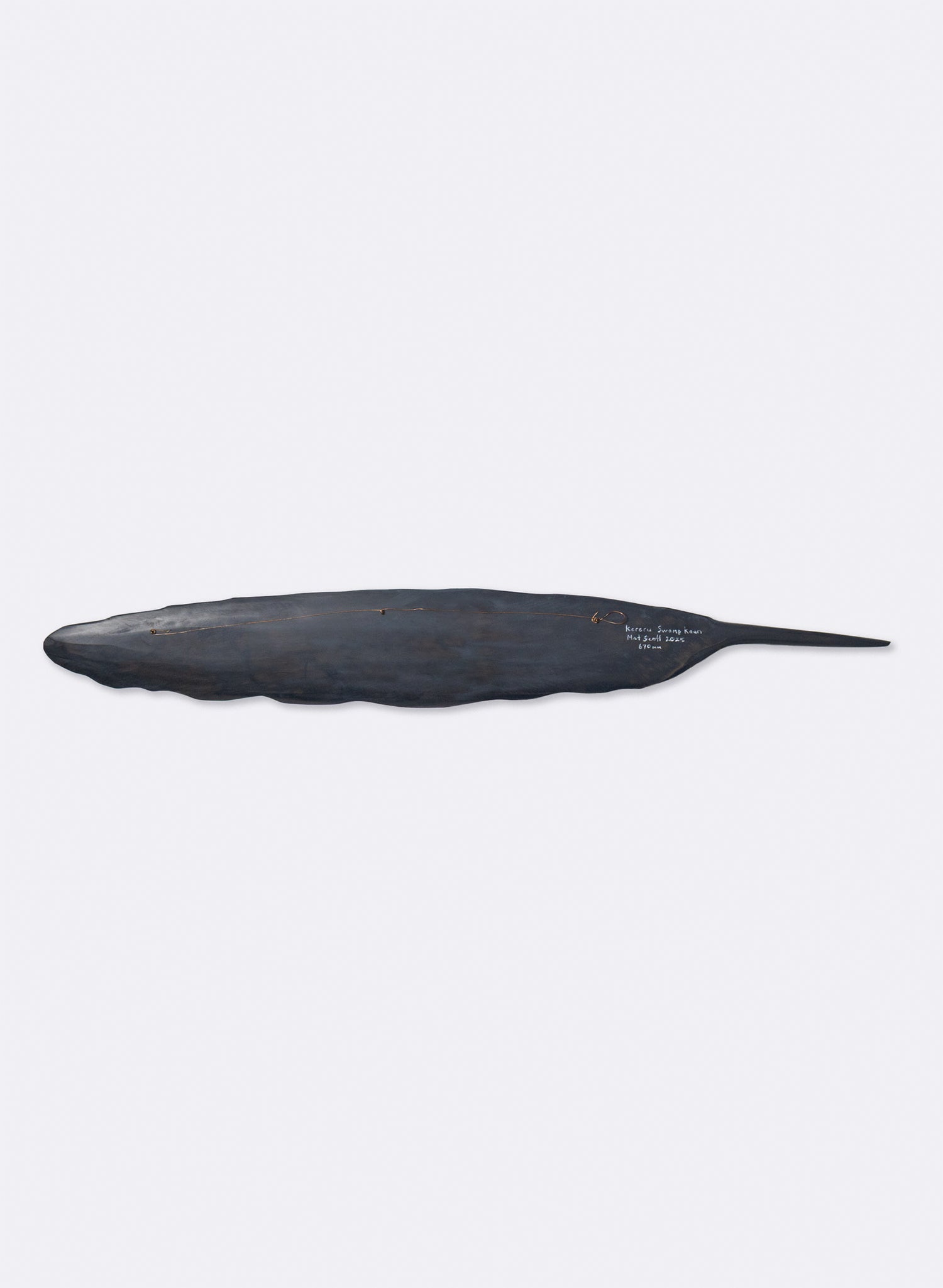 Kereru Feather Swamp Kauri 670mm