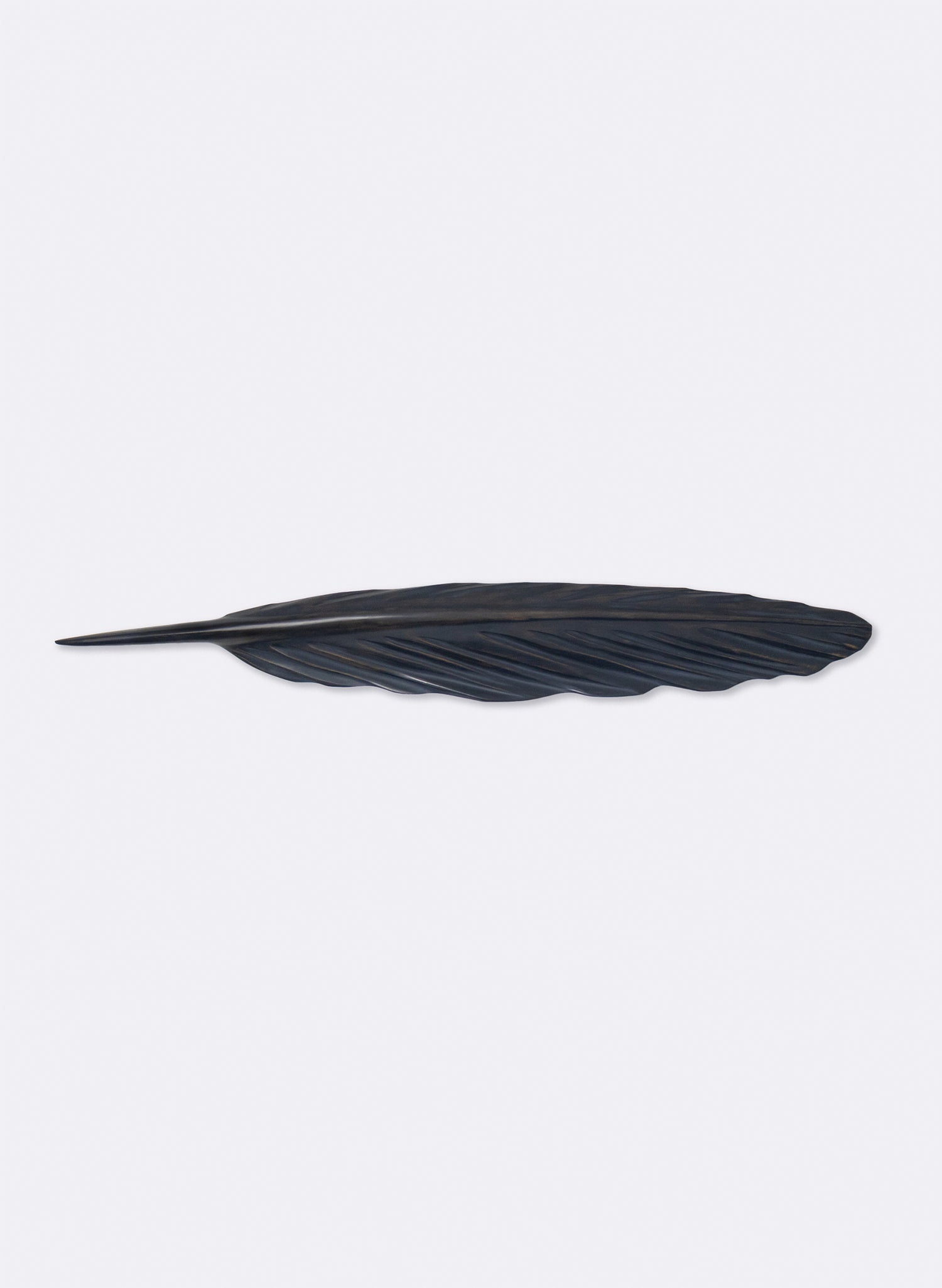 Kereru Feather Swamp Kauri 670mm
