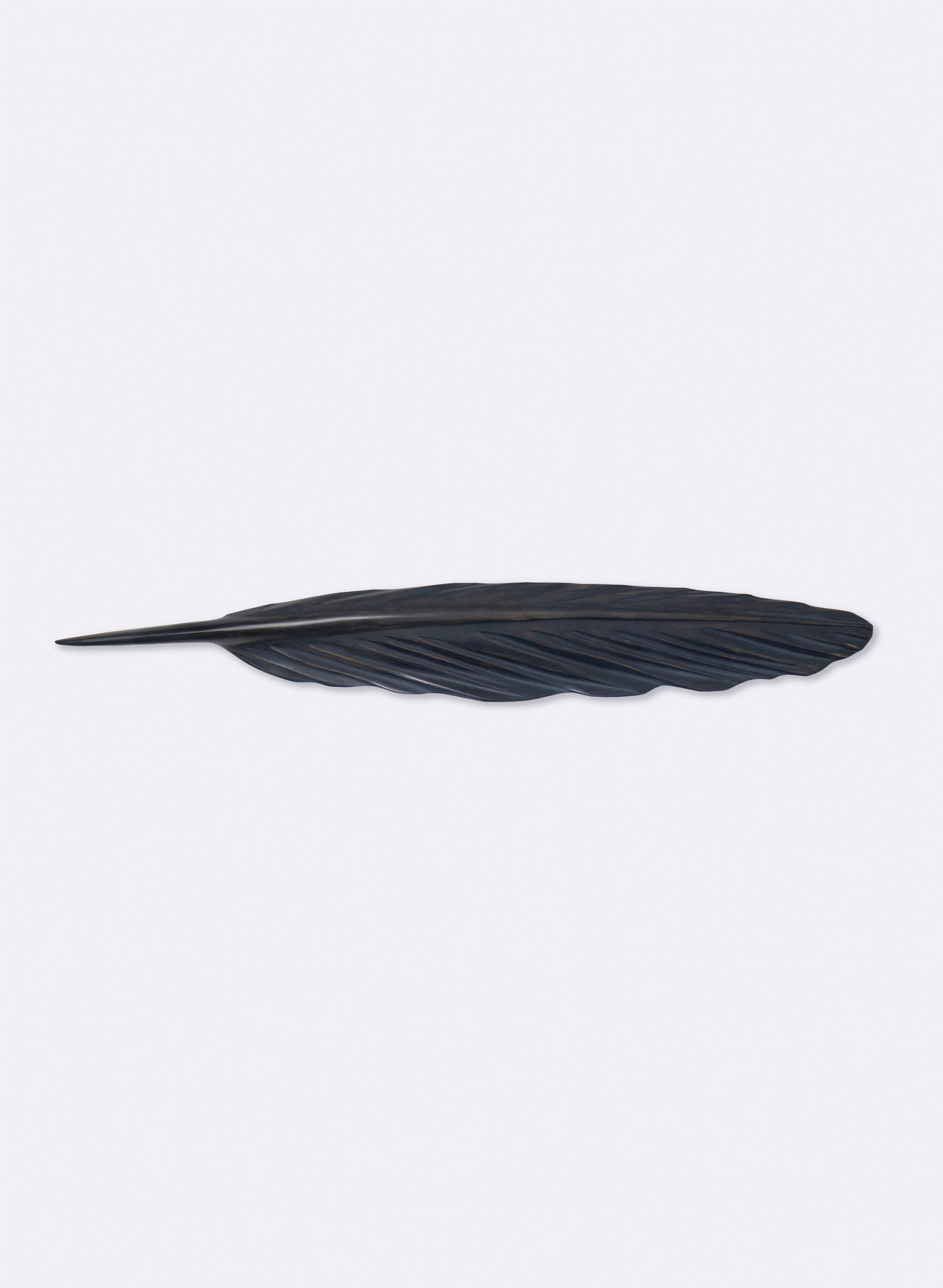 Kereru Feather Swamp Kauri 670mm