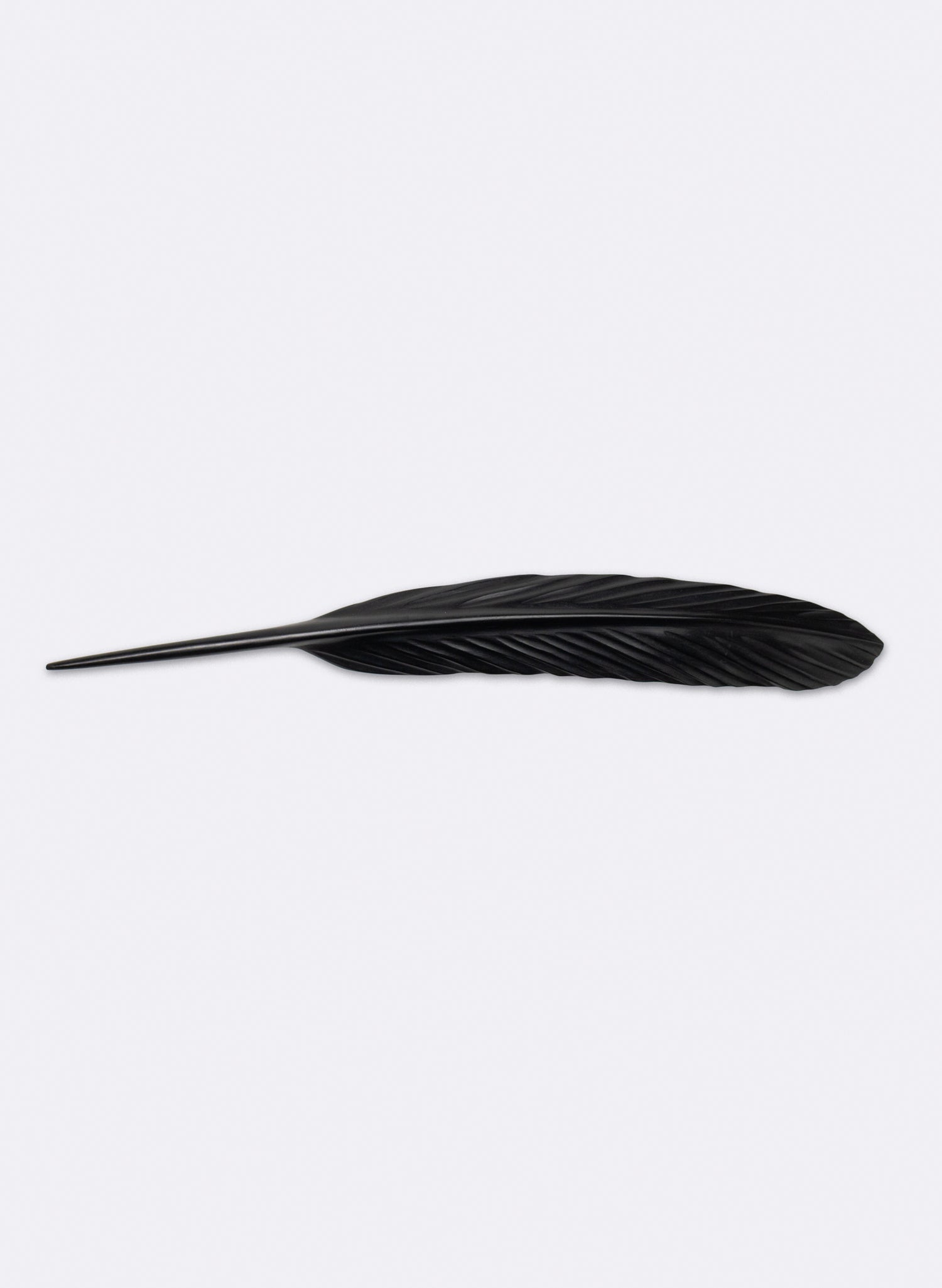 Tūī Feather Swamp Kauri 610mm