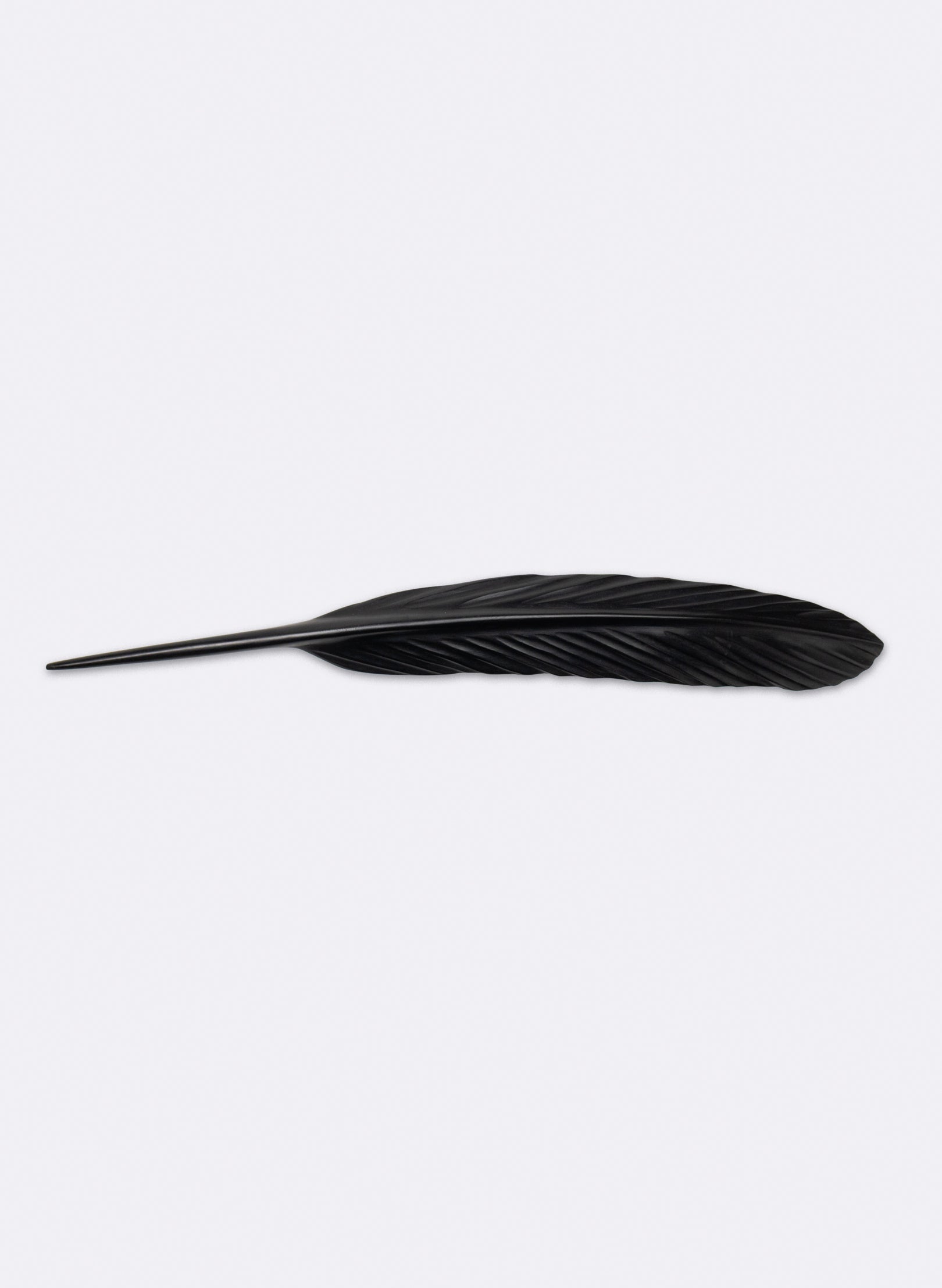 Tūī Feather Swamp Kauri 610mm