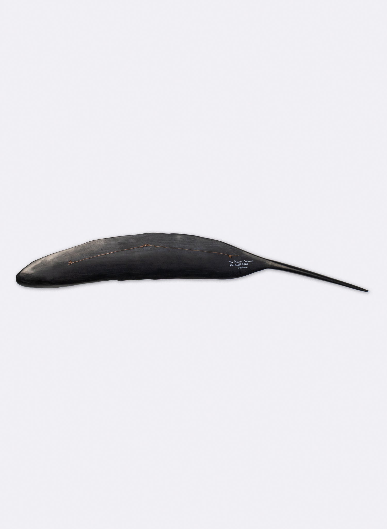 Tūī Feather Swamp Kauri 625mm