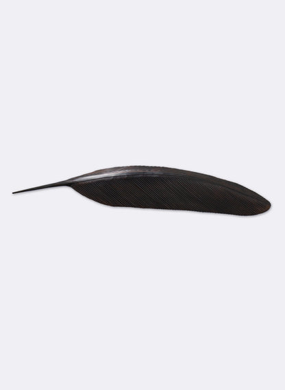 Tūī Feather Copper 1370mm