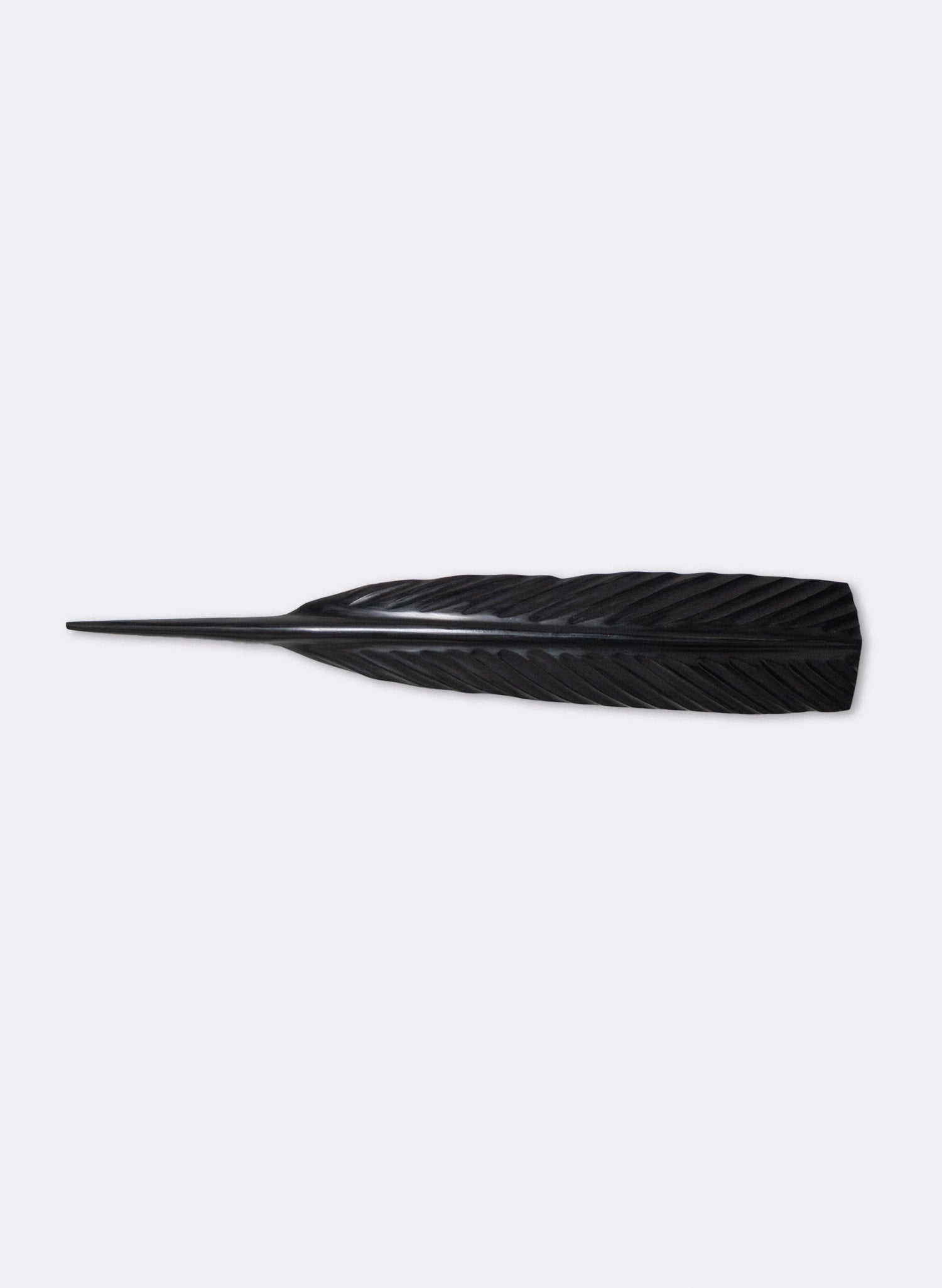 Black Huia Feather Swamp Kauri 650mm
