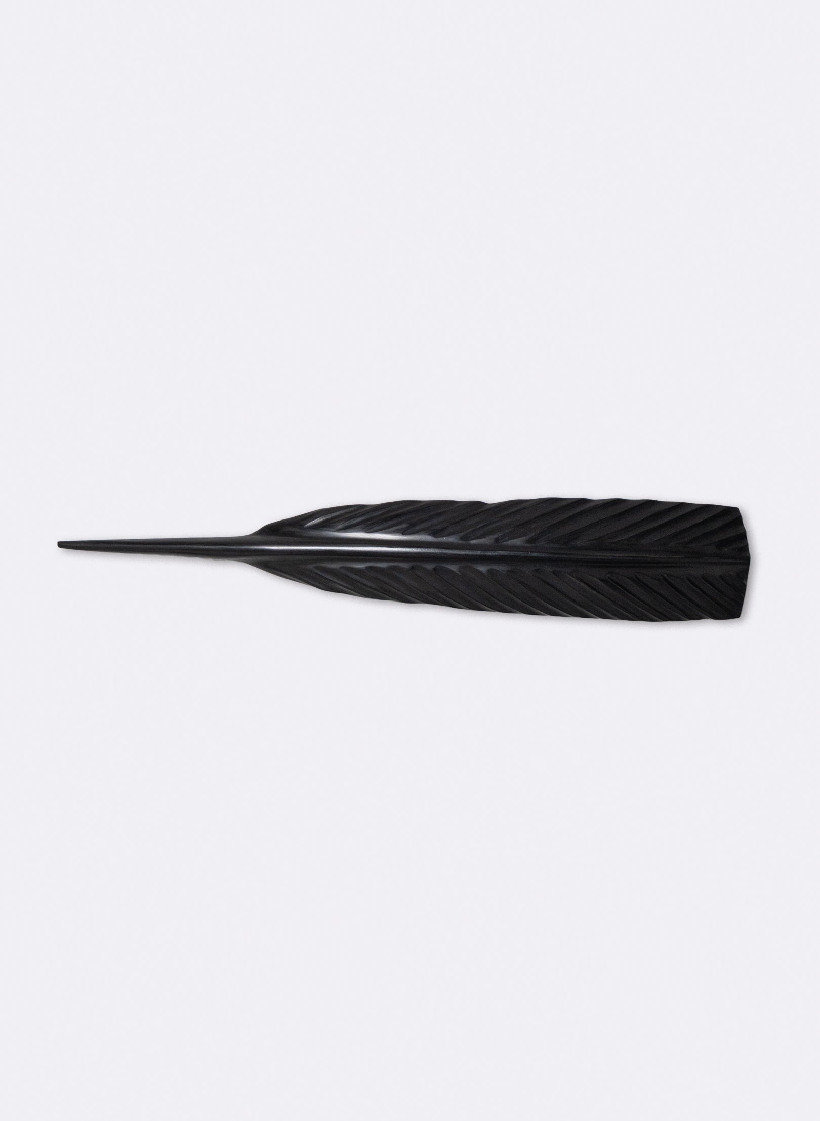 Black Huia Feather Swamp Kauri 650mm