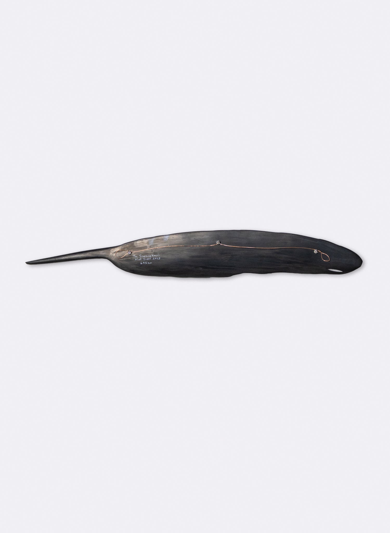 Tūī Feather Swamp Kauri 645mm