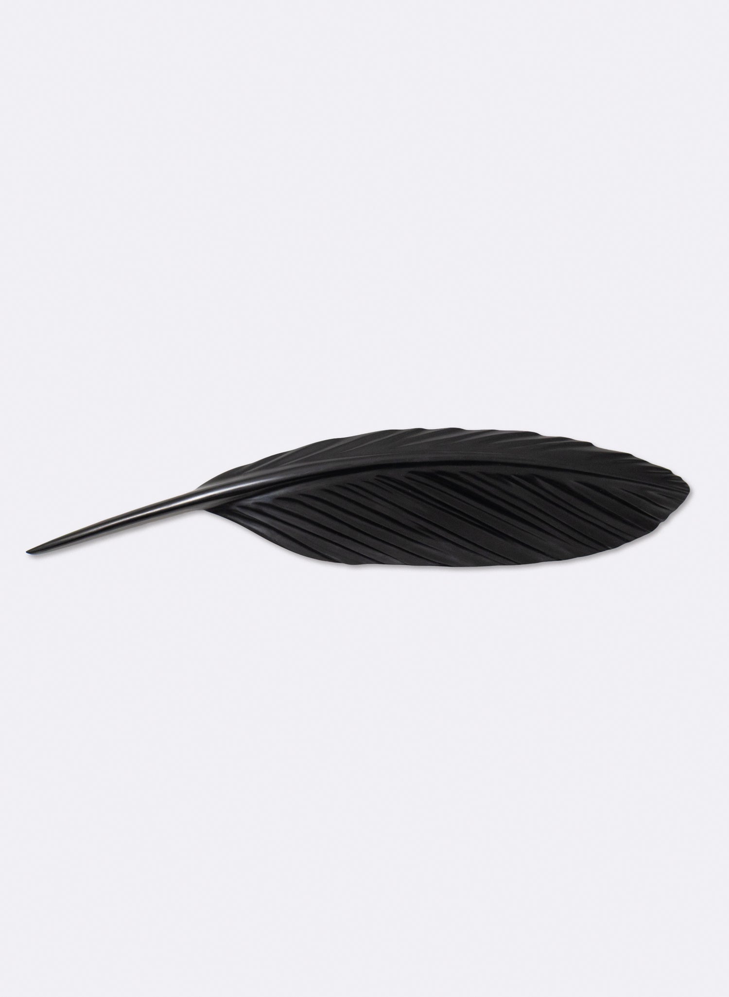 Tūī Feather Swamp Kauri 775mm